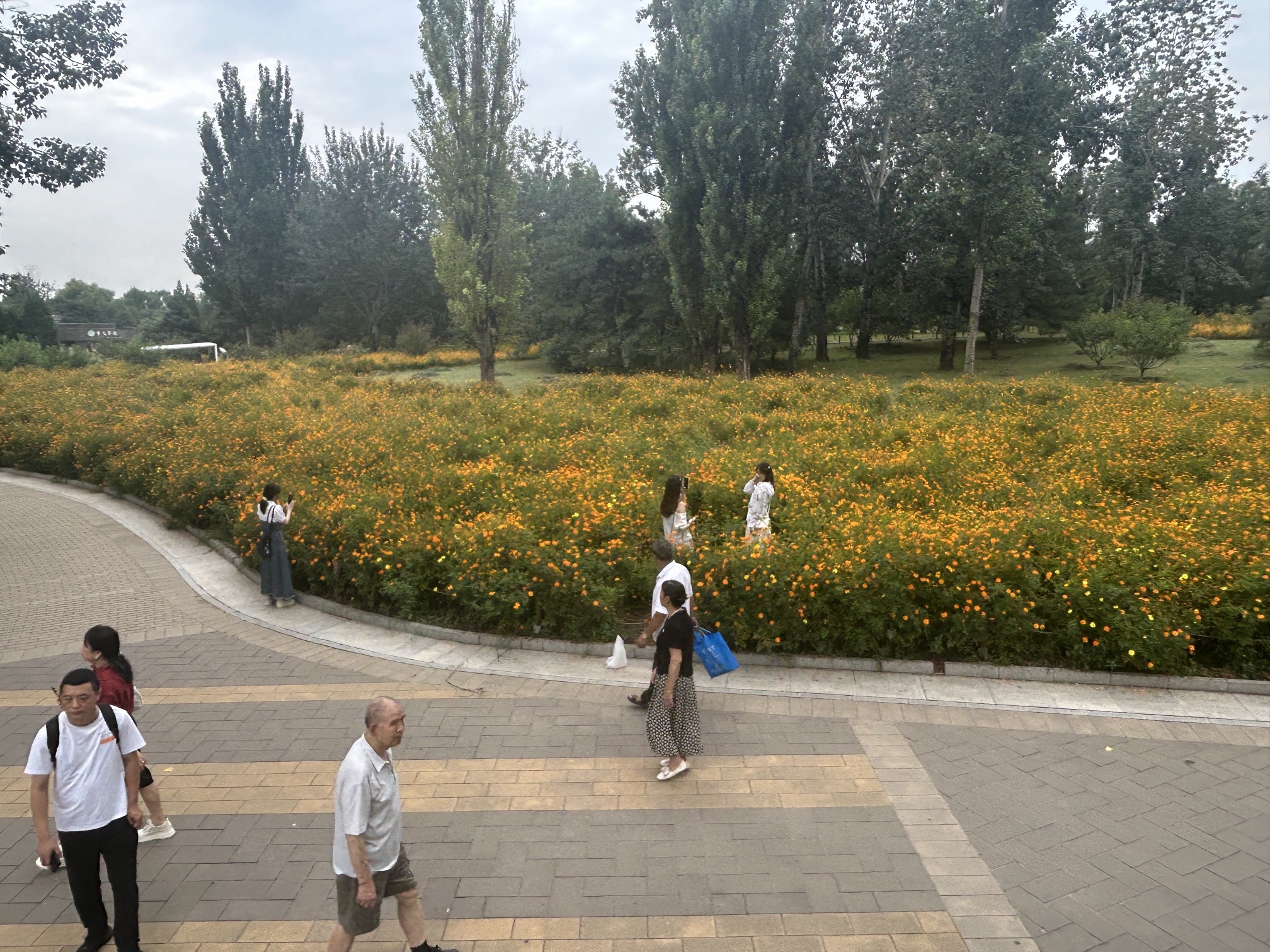 国家植物园旅行图片 3