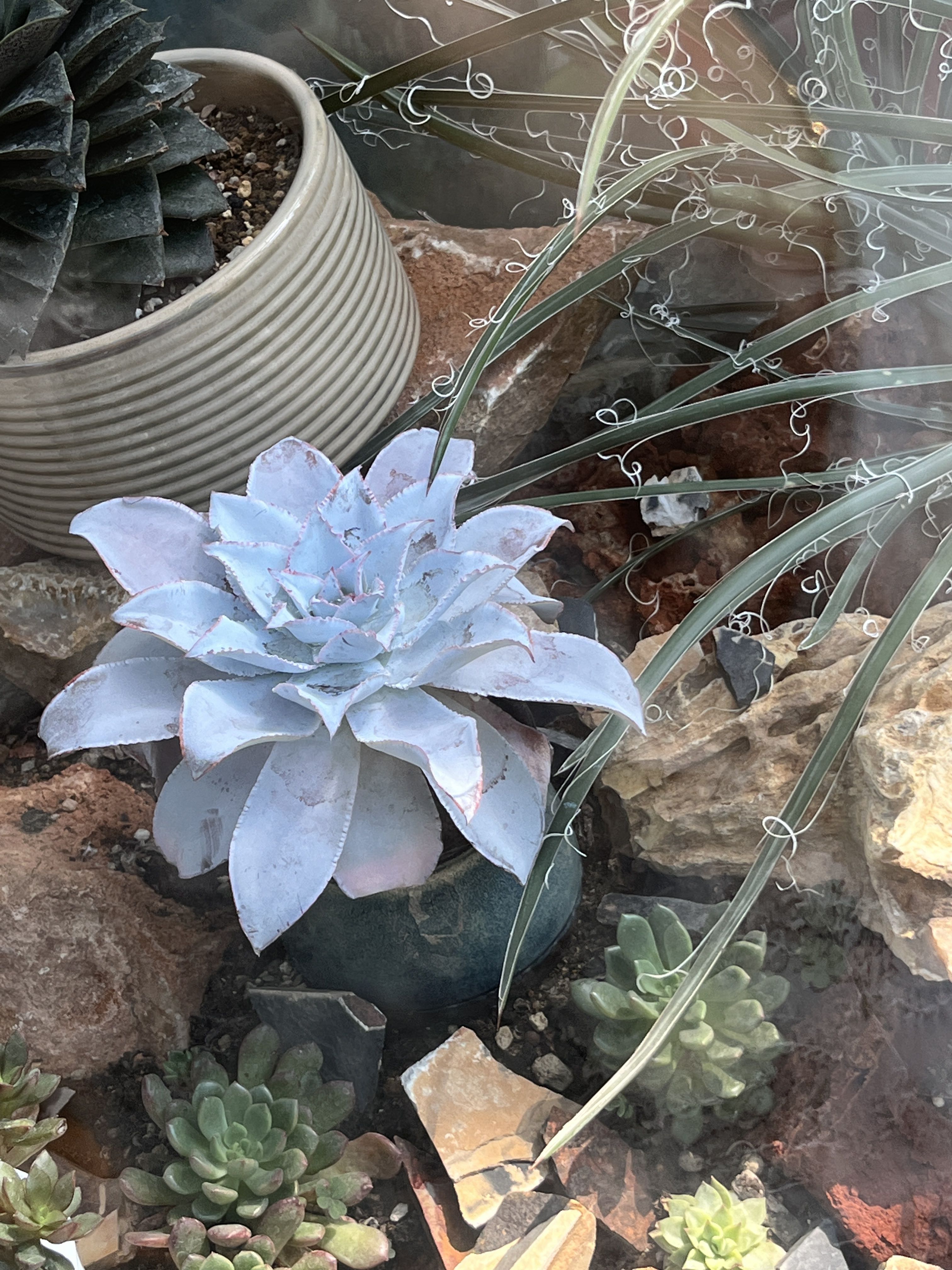 国家植物园旅行图片 2