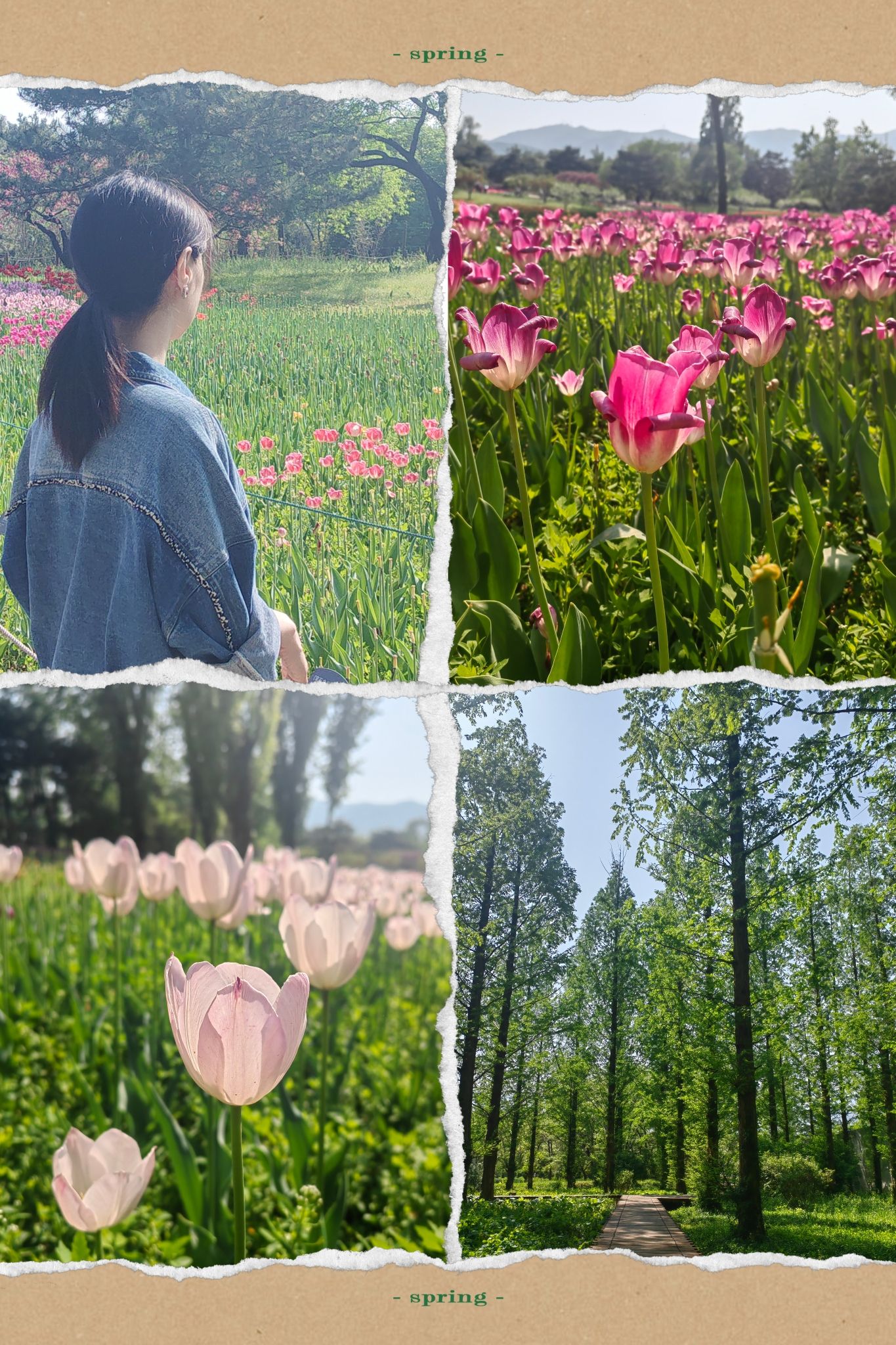 国家植物园旅行图片 1