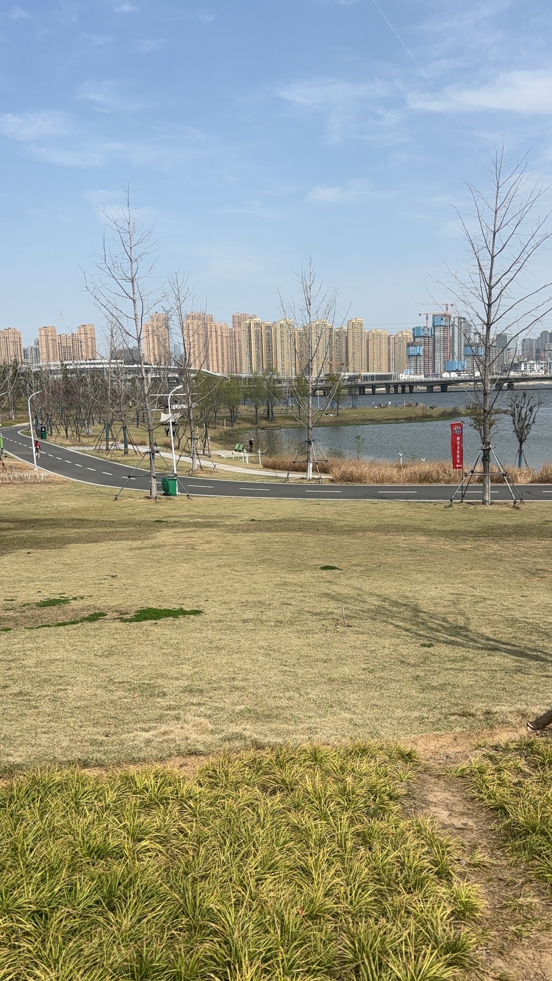 龙阳湖公园旅行图片 3