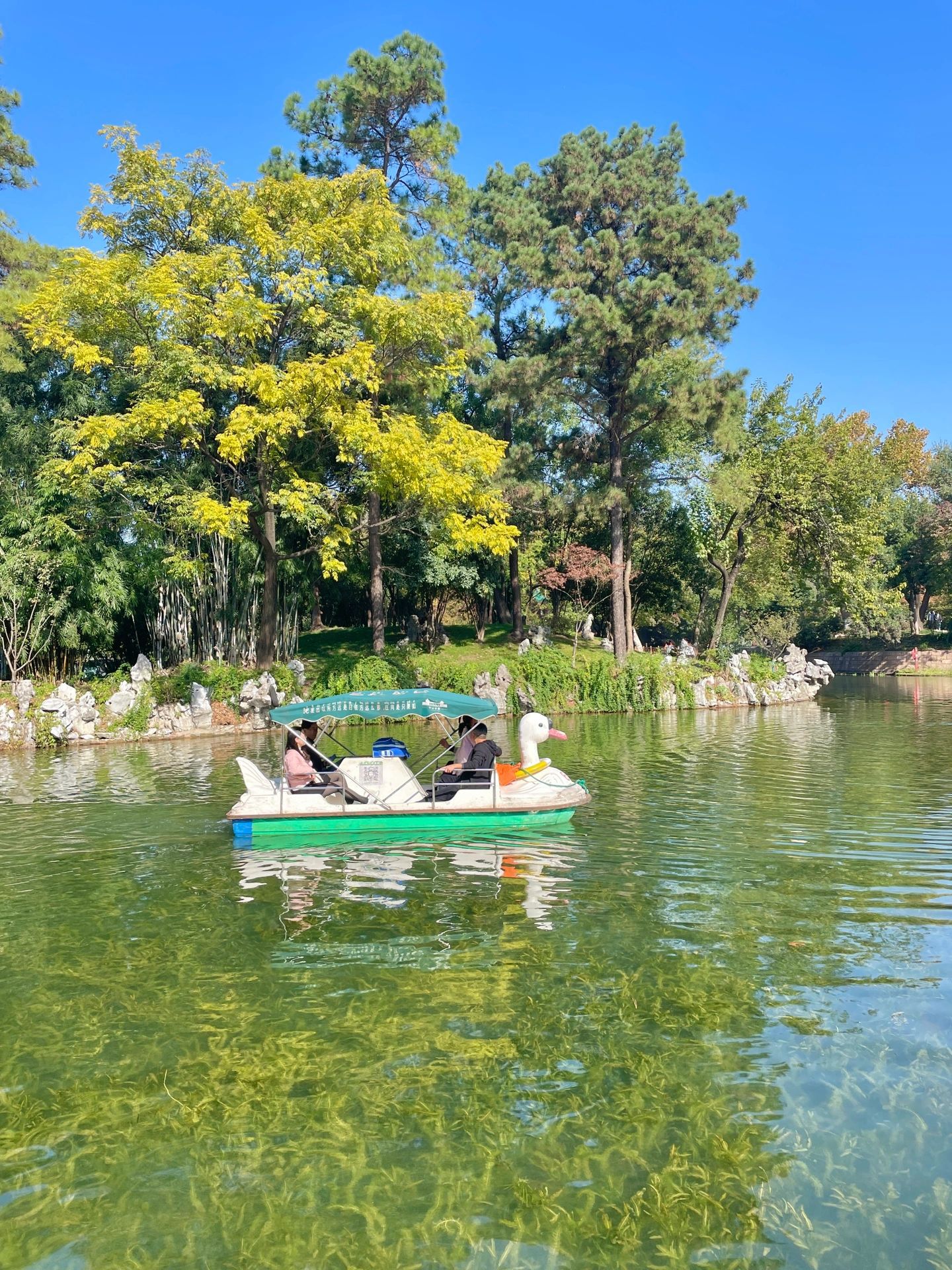 龙阳湖公园旅行图片 2