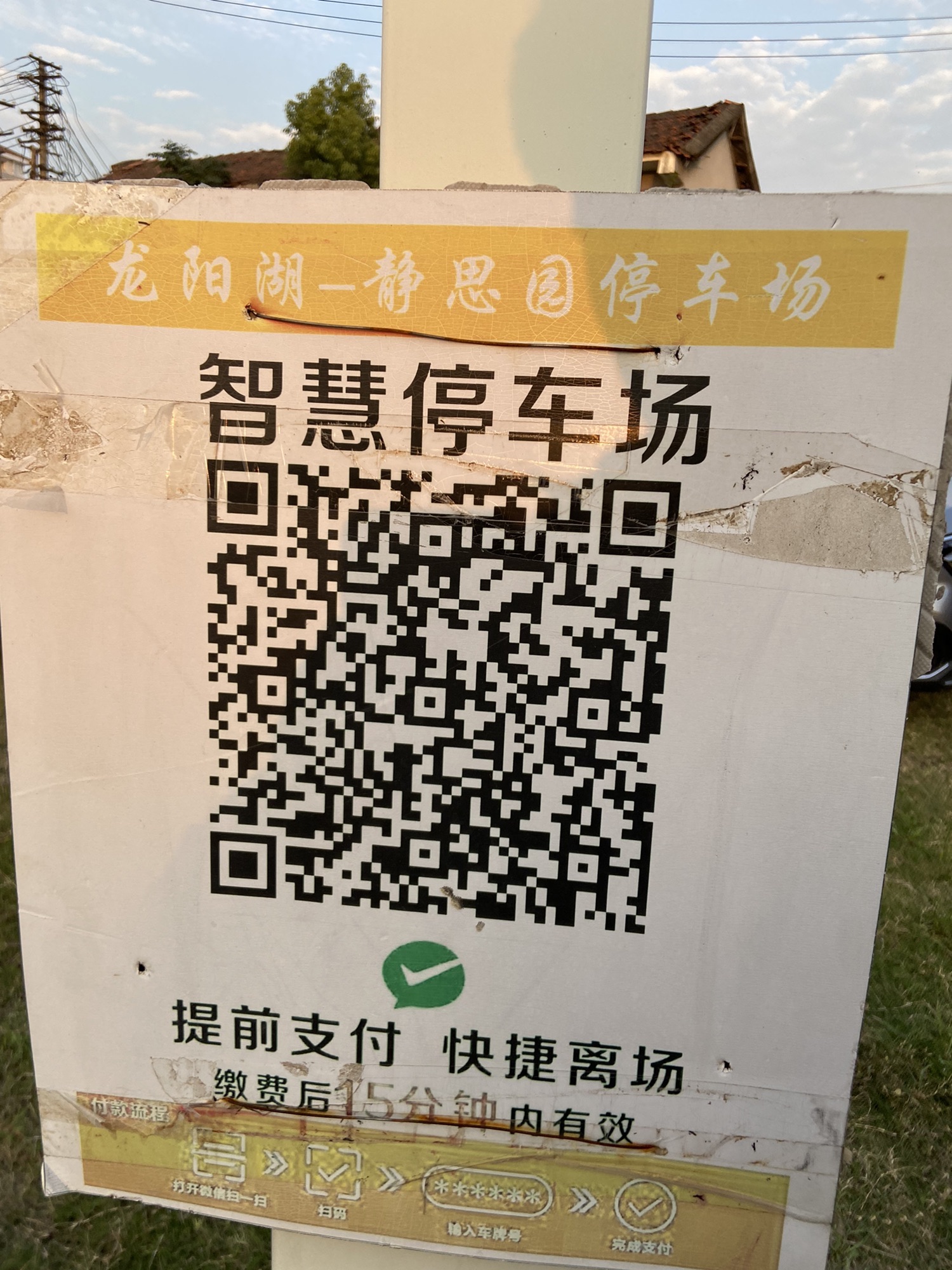 龙阳湖公园旅行图片 3