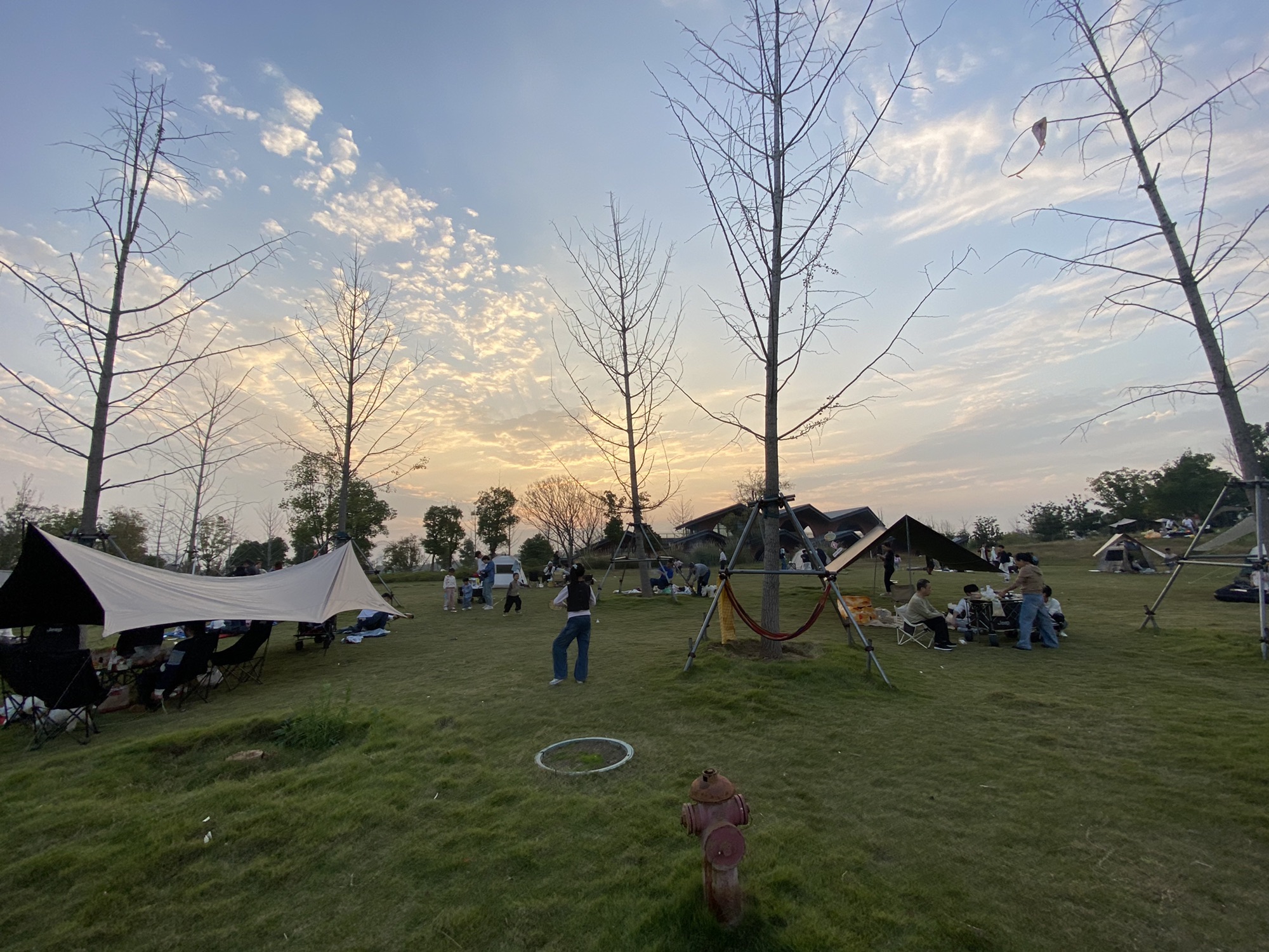 龙阳湖公园旅行图片 1