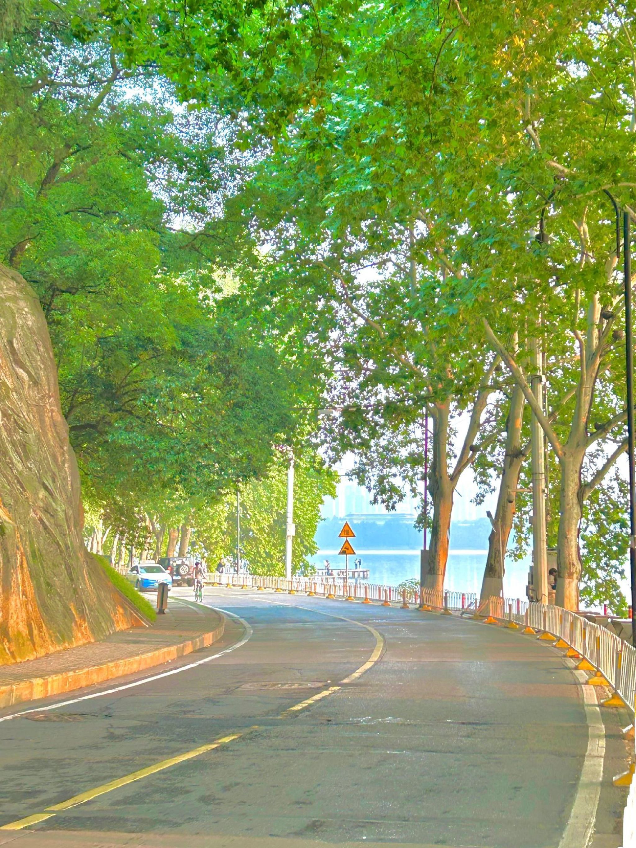 龙阳湖公园旅行图片 1