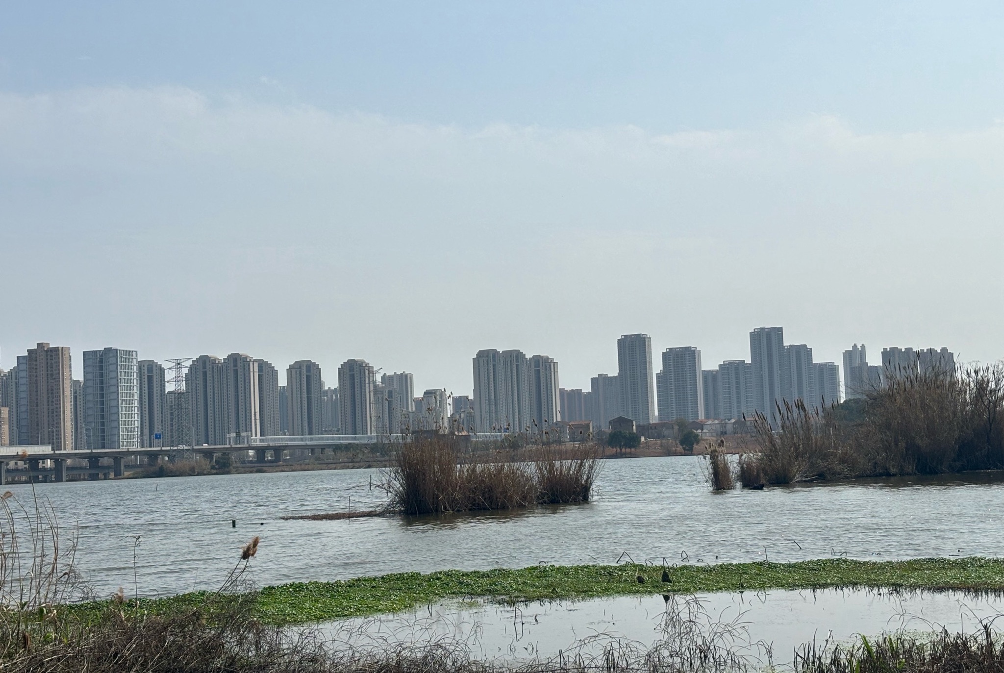 龙阳湖公园旅行图片 2