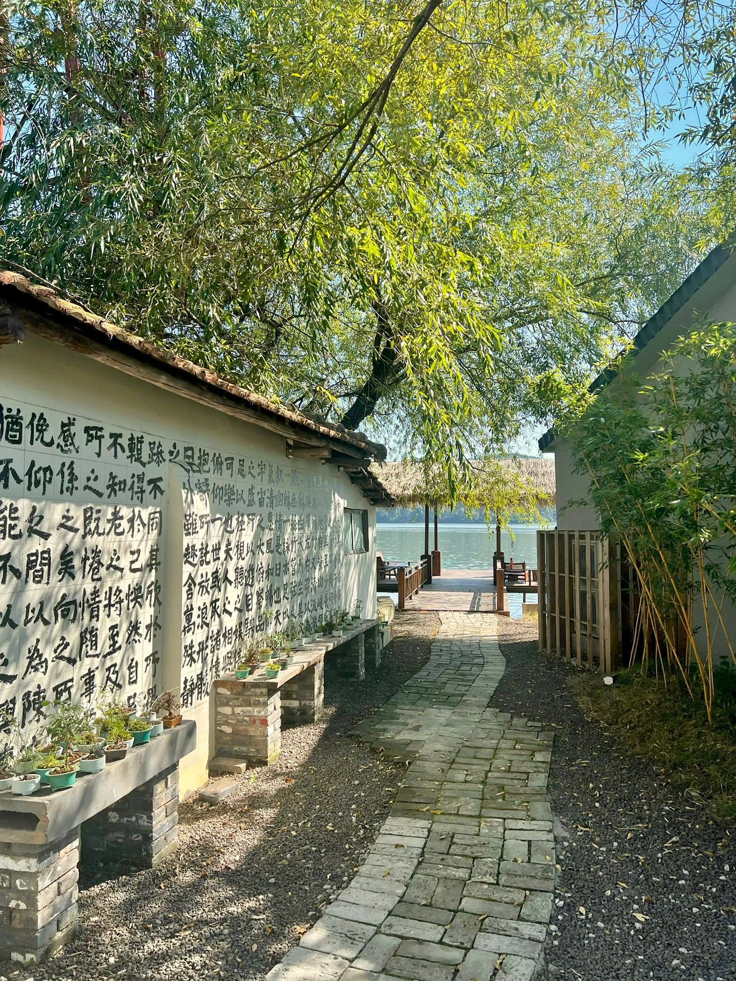 龙阳湖公园旅行图片 3