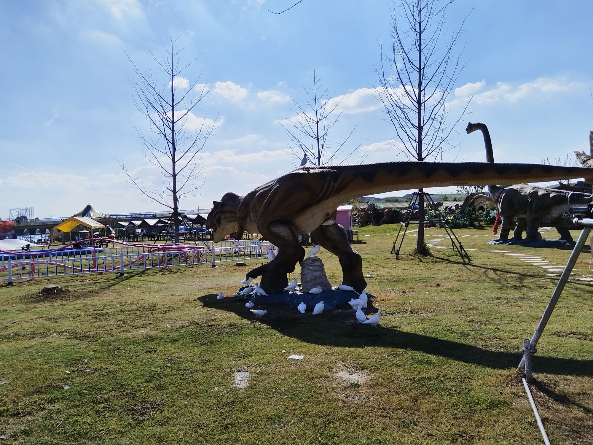 龙阳湖公园旅行图片 2