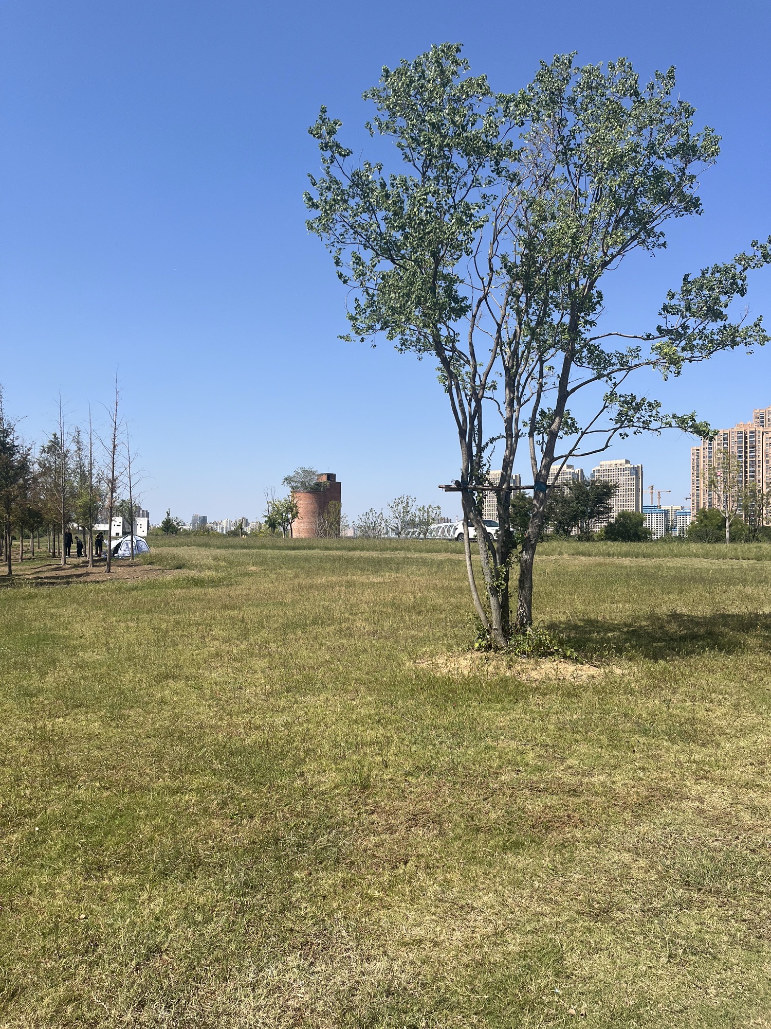南淝河码头公园旅行图片 1