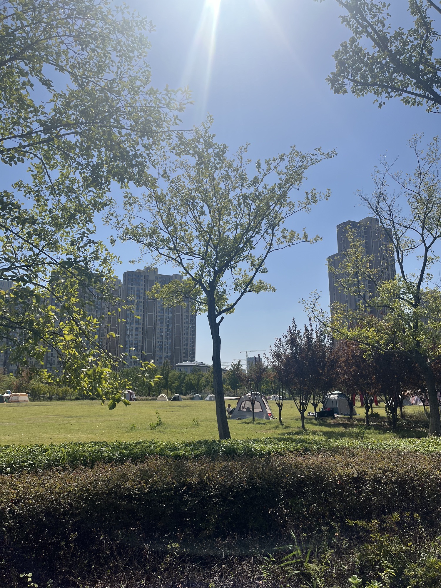 南淝河码头公园旅行图片 2