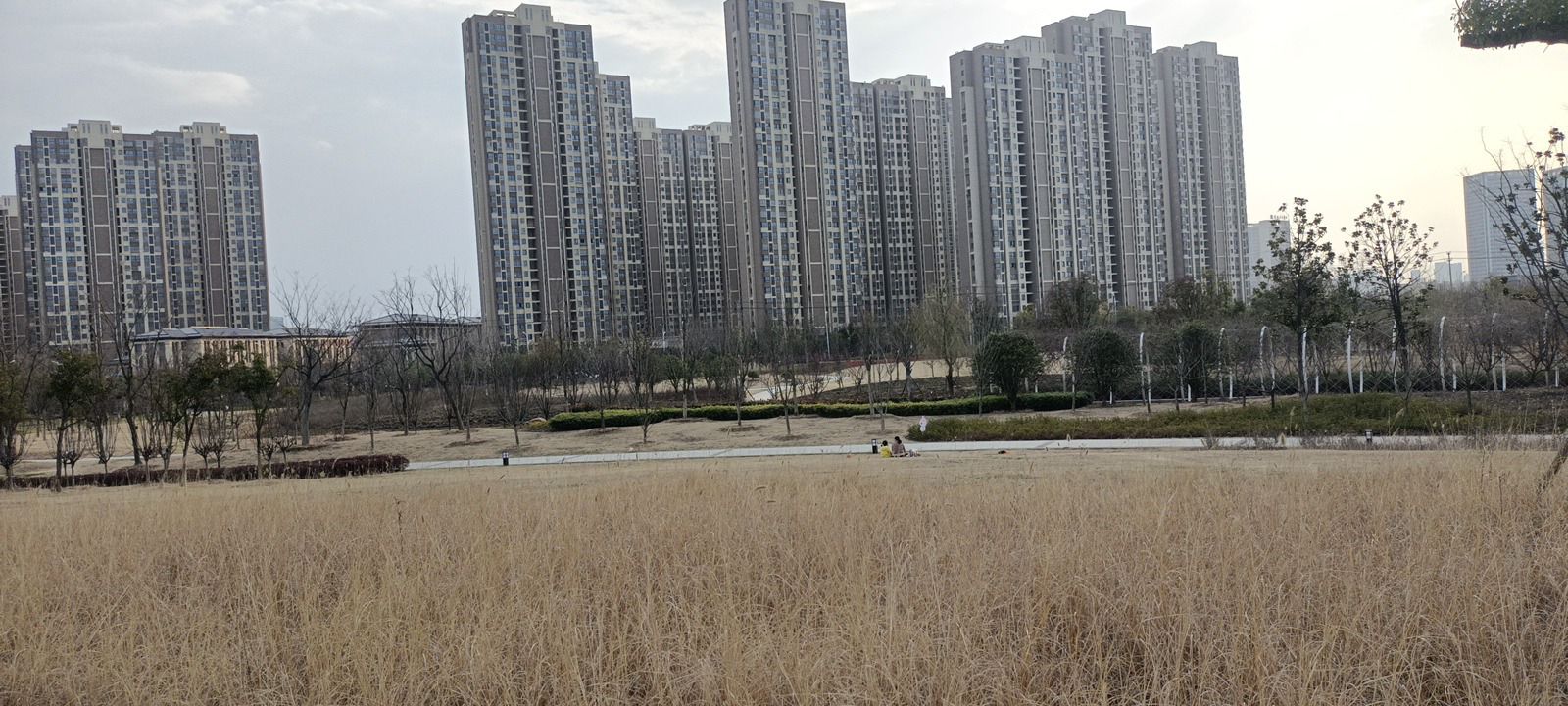 南淝河码头公园旅行图片 2
