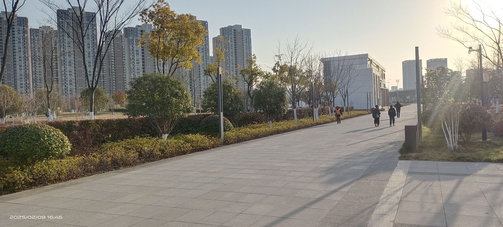 南淝河码头公园旅行图片 3