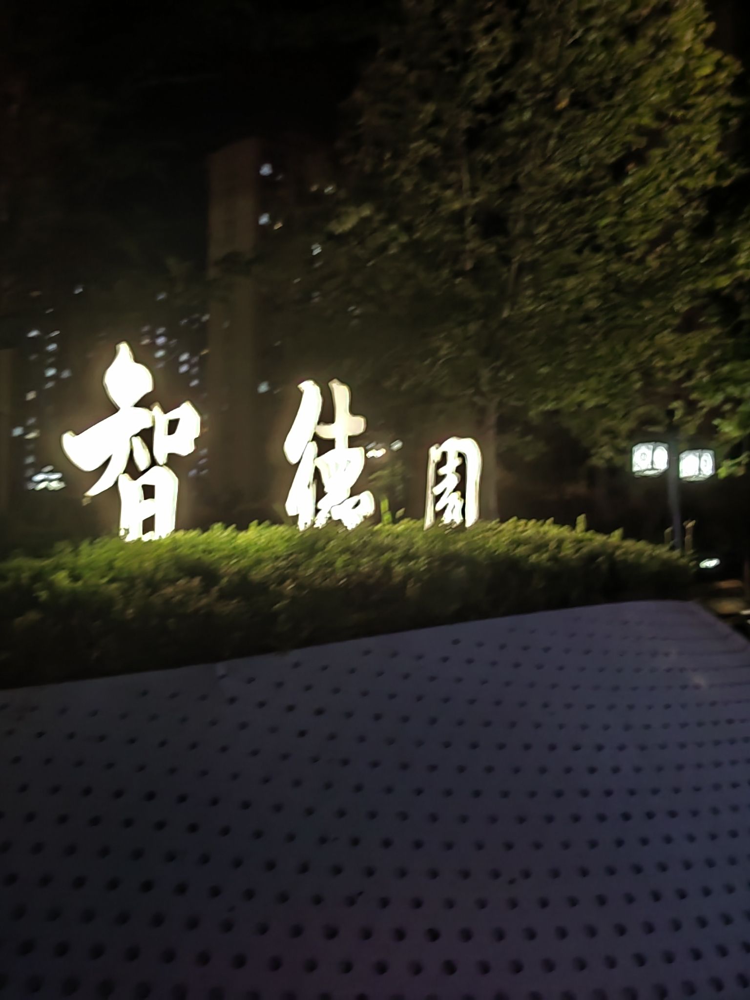 IN公园旅行图片 3