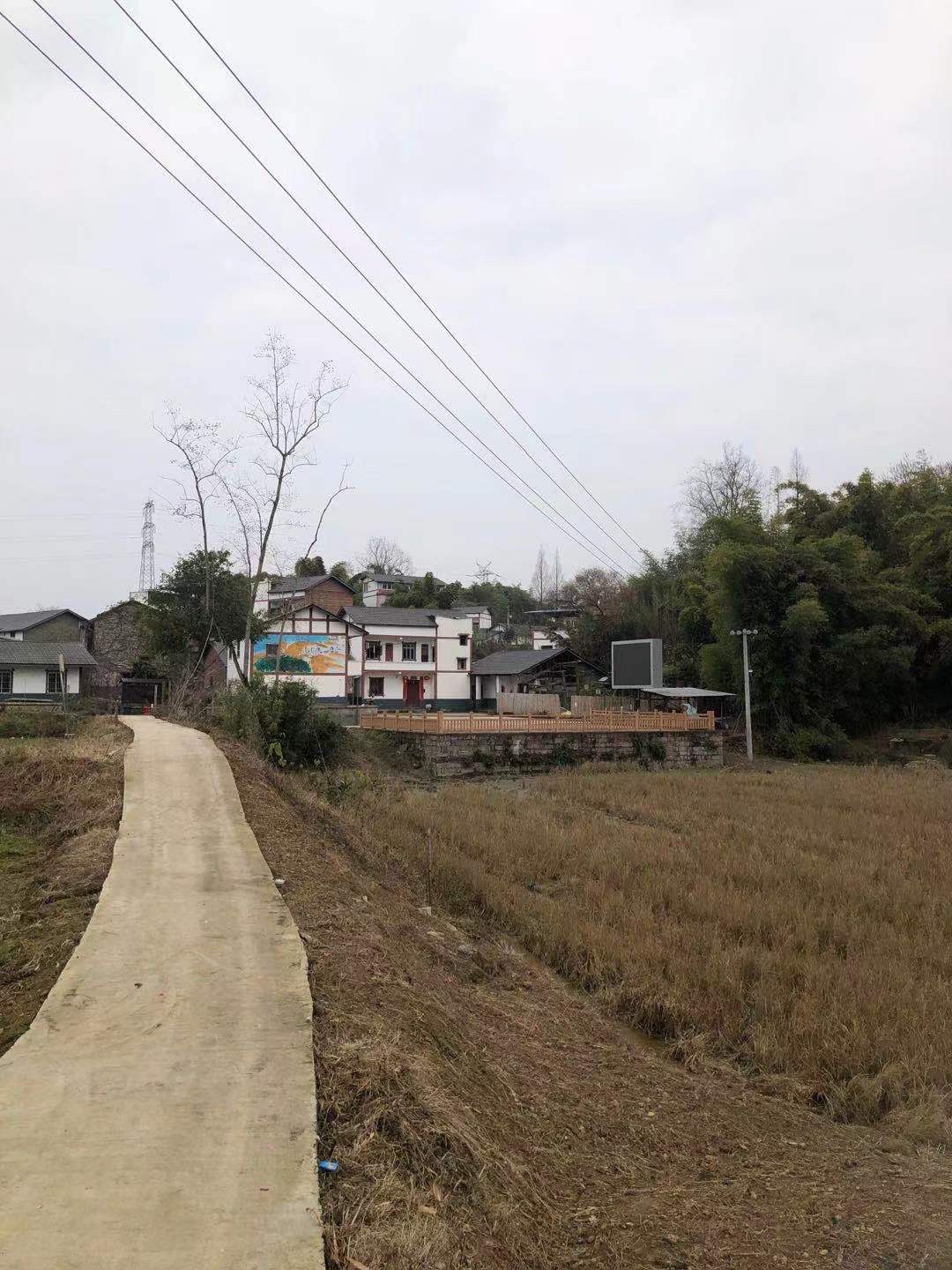 龙井湾院子旅行图片 3