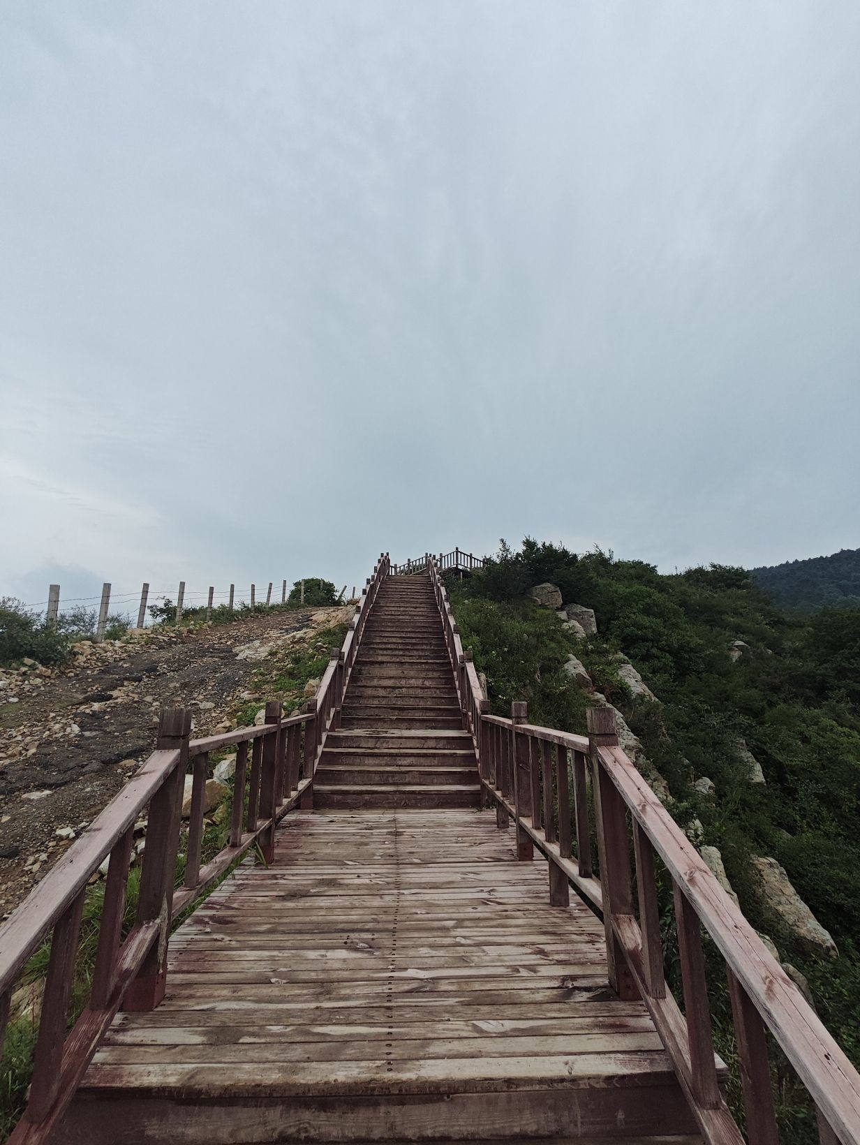 嵩顶高山草甸旅行图片 3