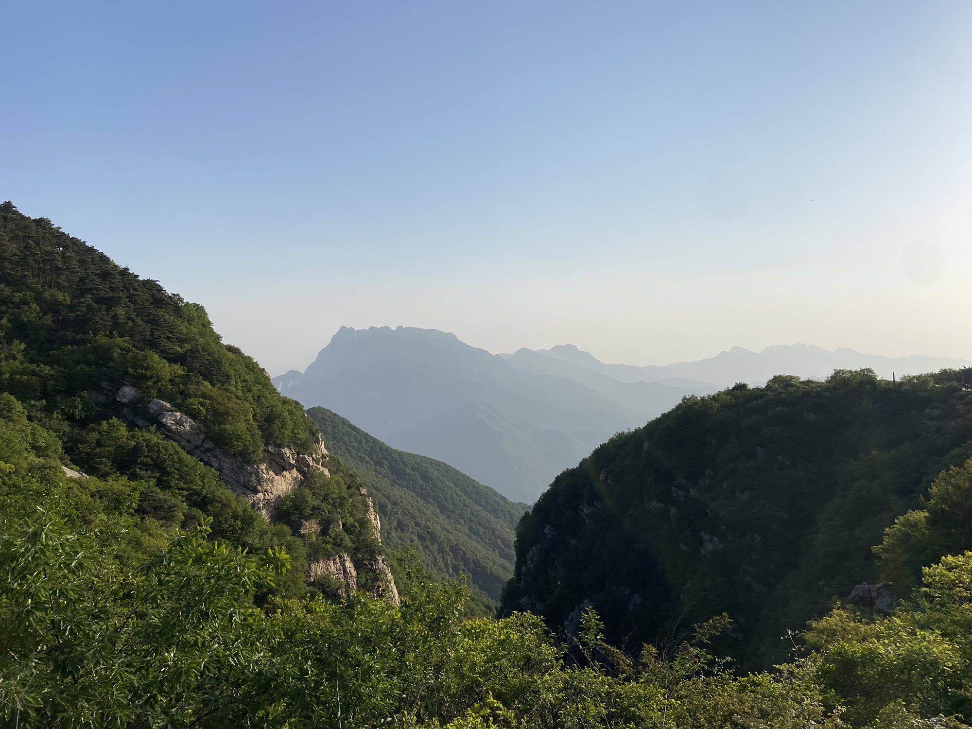 嵩顶高山草甸旅行图片 3