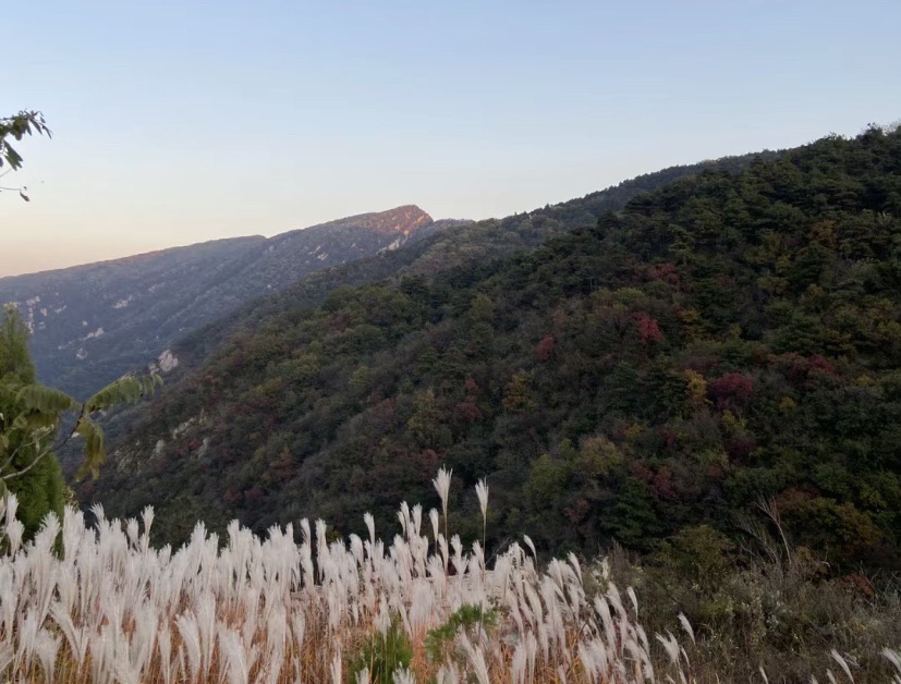 嵩顶高山草甸旅行图片 3
