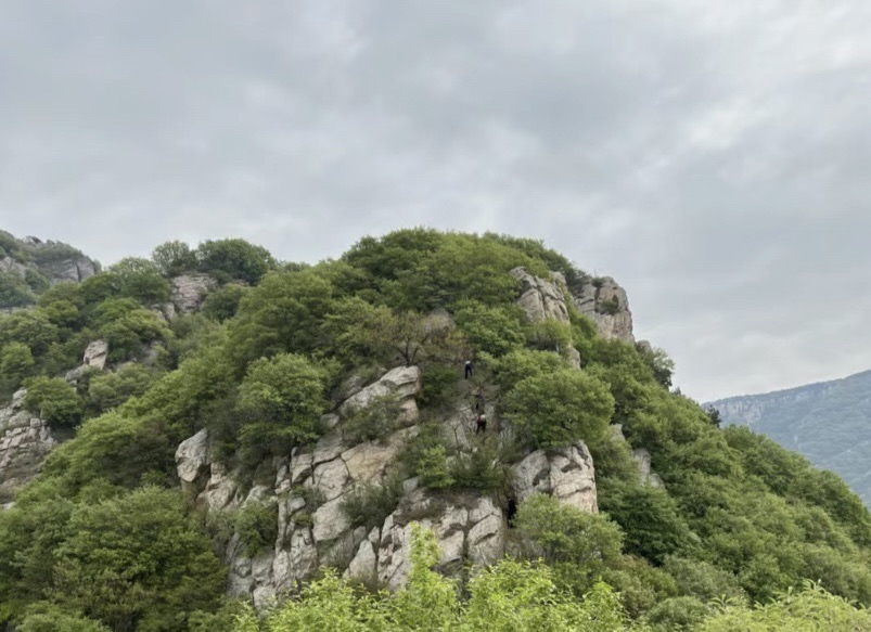 嵩顶高山草甸旅行图片 2