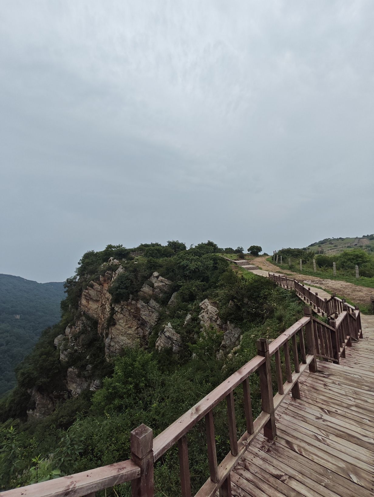 嵩顶高山草甸旅行图片 2