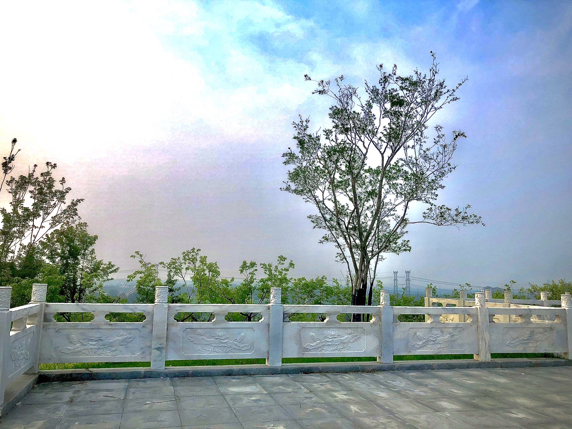 象山人才公园旅行图片 3