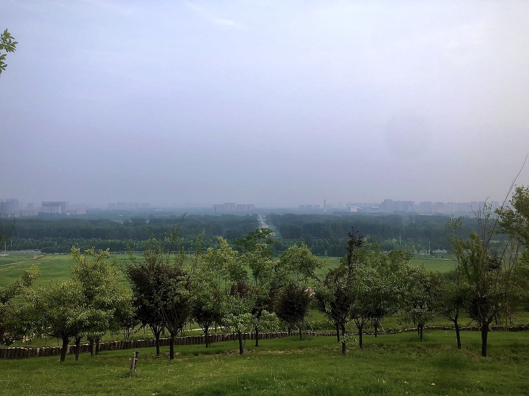 象山人才公园旅行图片 2