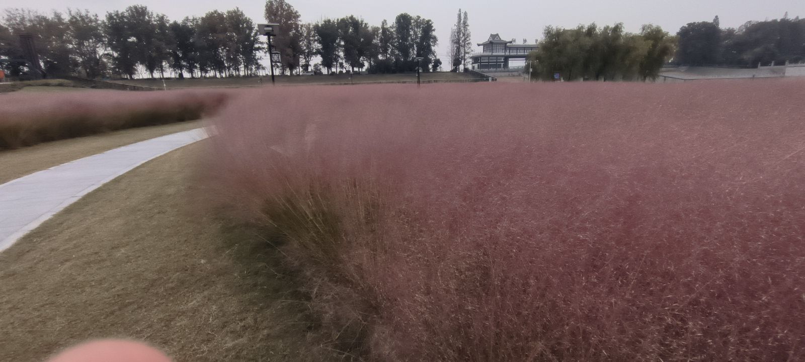 华山闸旅行图片 1