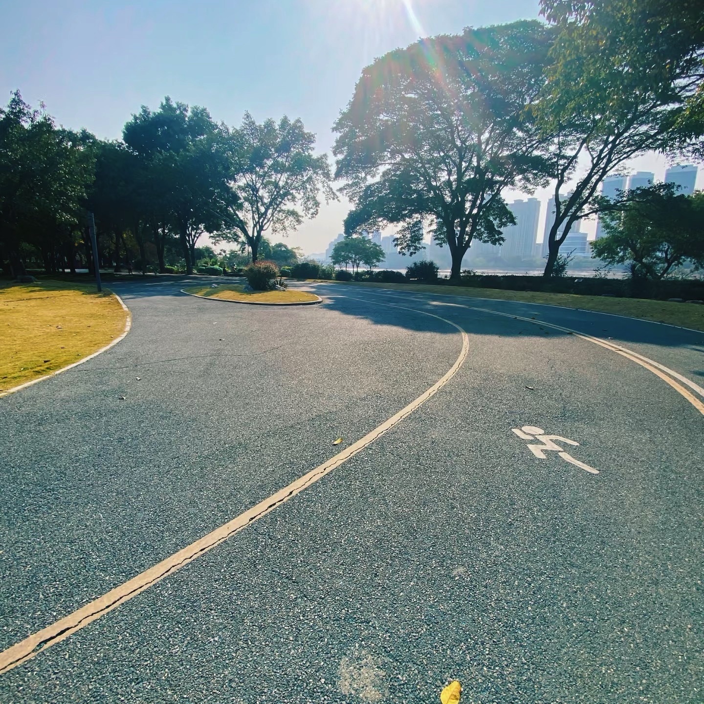 滨江市民广场旅行图片 3