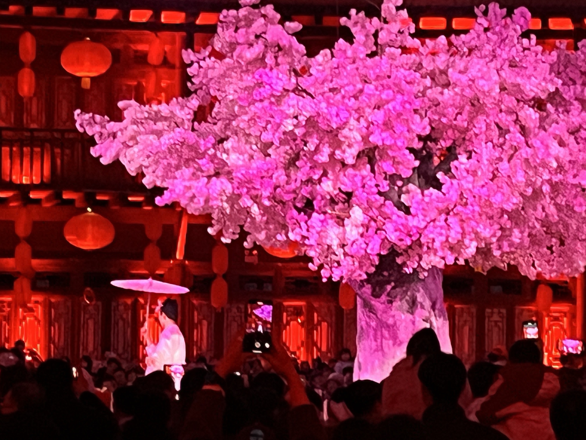 夜肆石家庄旅行图片 3