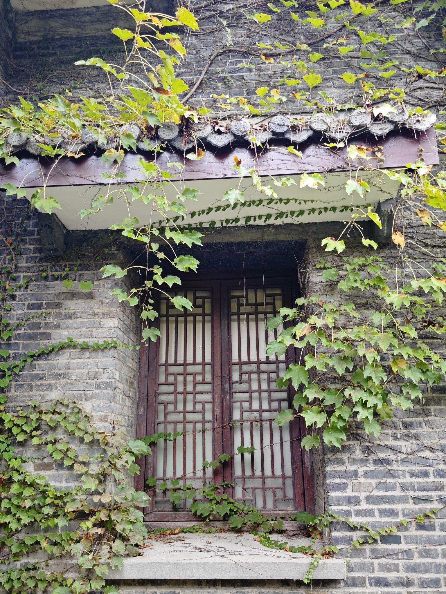 蜀冈唐子城风景区旅行图片 3