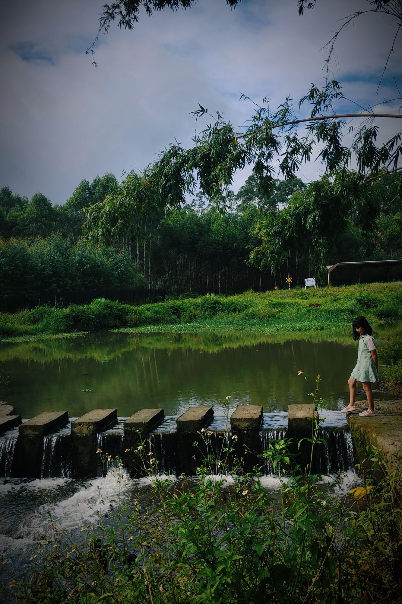 马来河自然沙洲风景区旅行图片 1