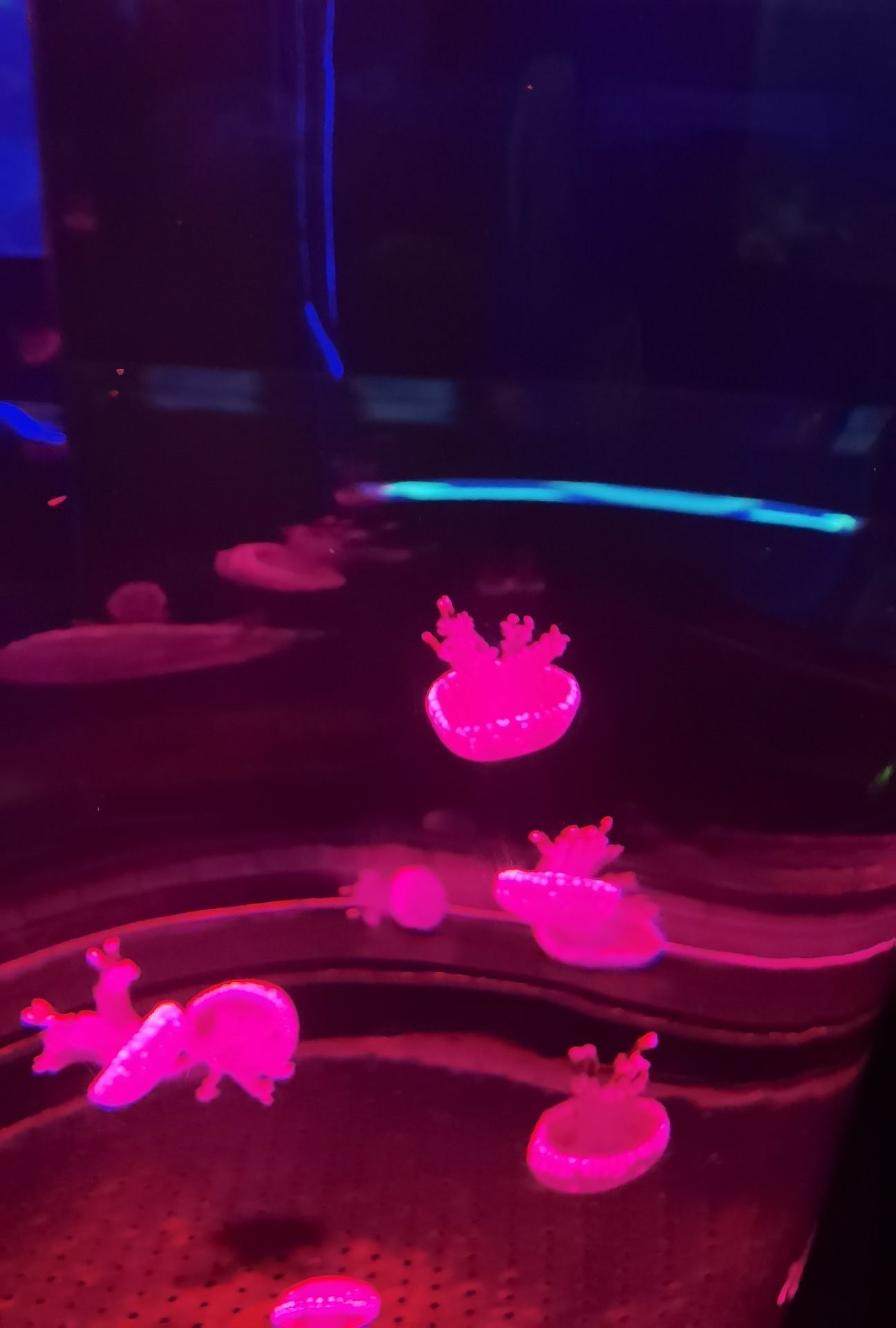 动物科学王国旅行图片 2