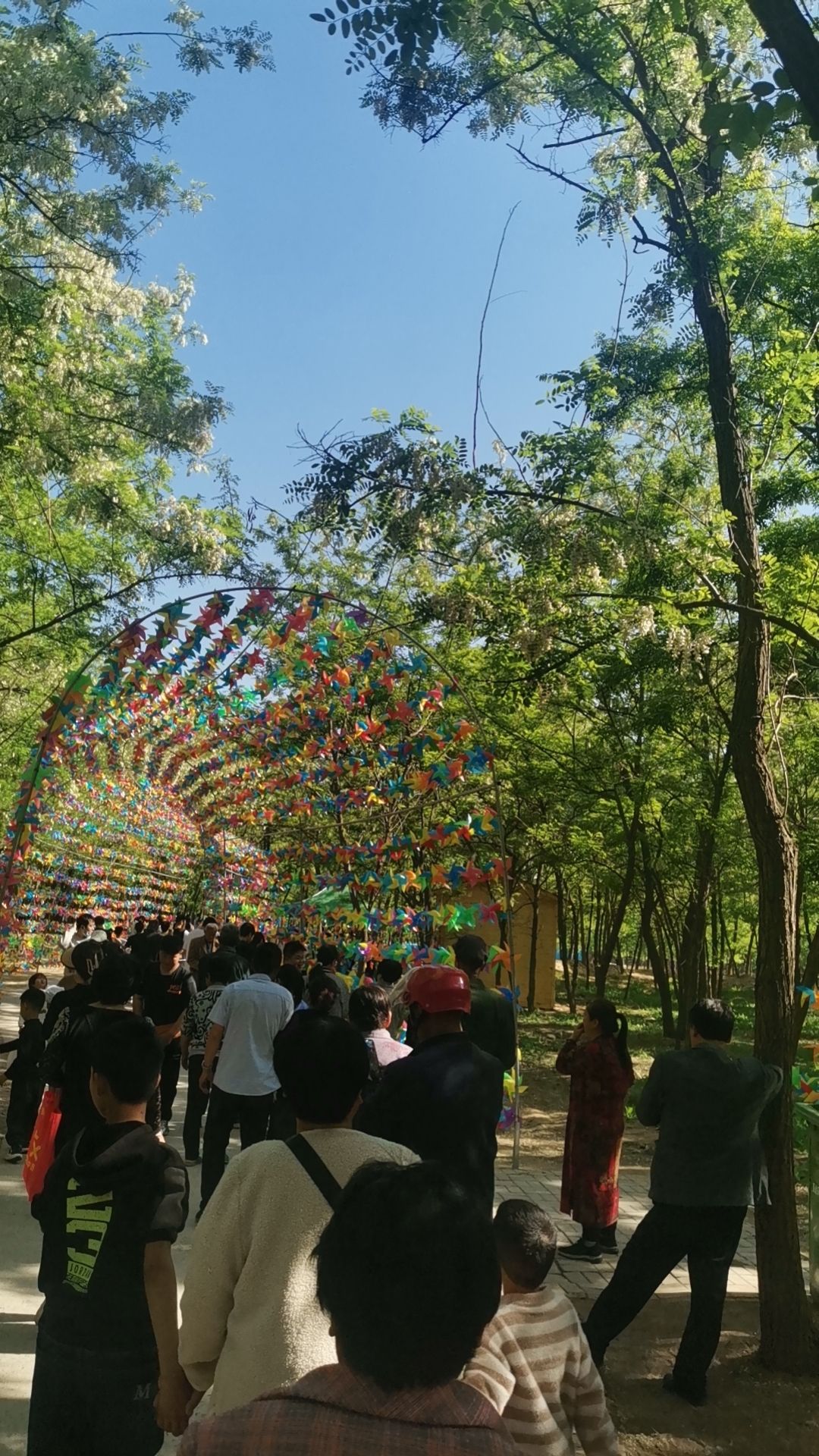 嘉会镇万亩生态园林观光区旅行图片 2