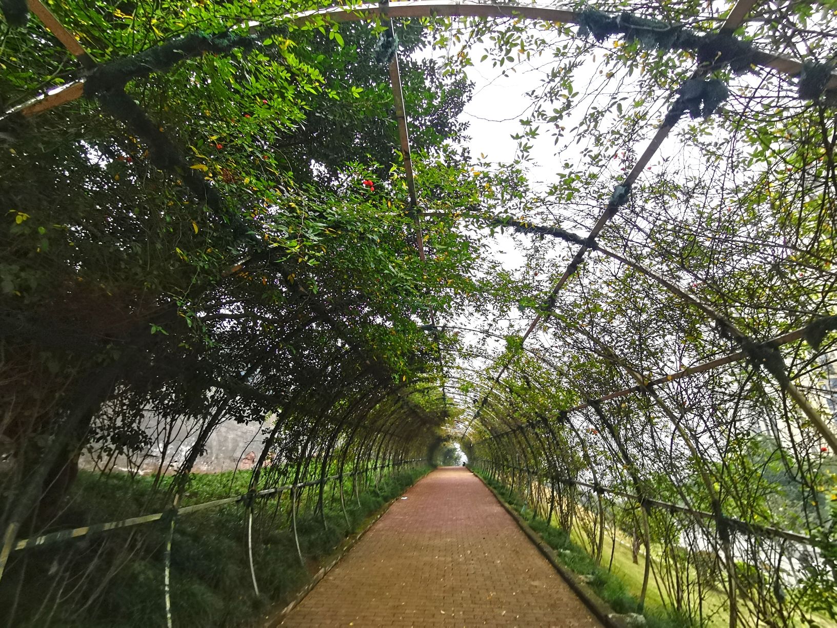 职工体育公园旅行图片 3
