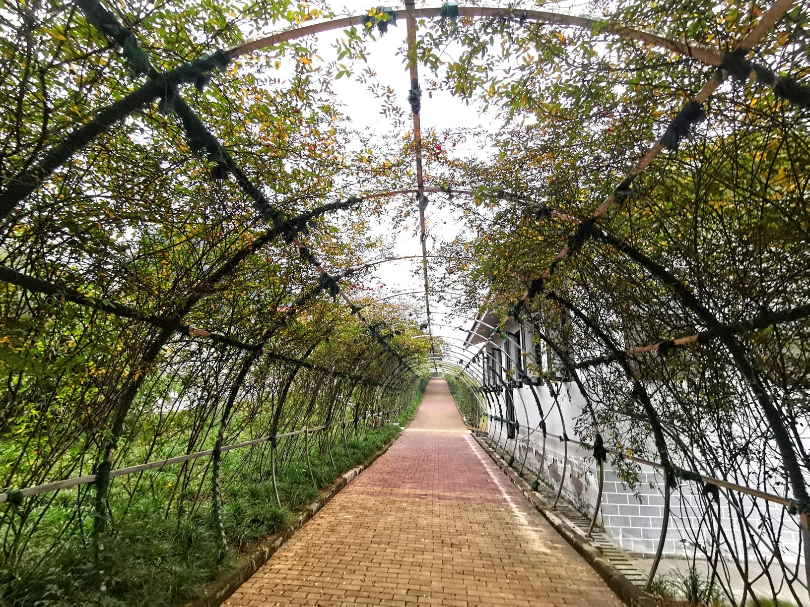职工体育公园旅行图片 2