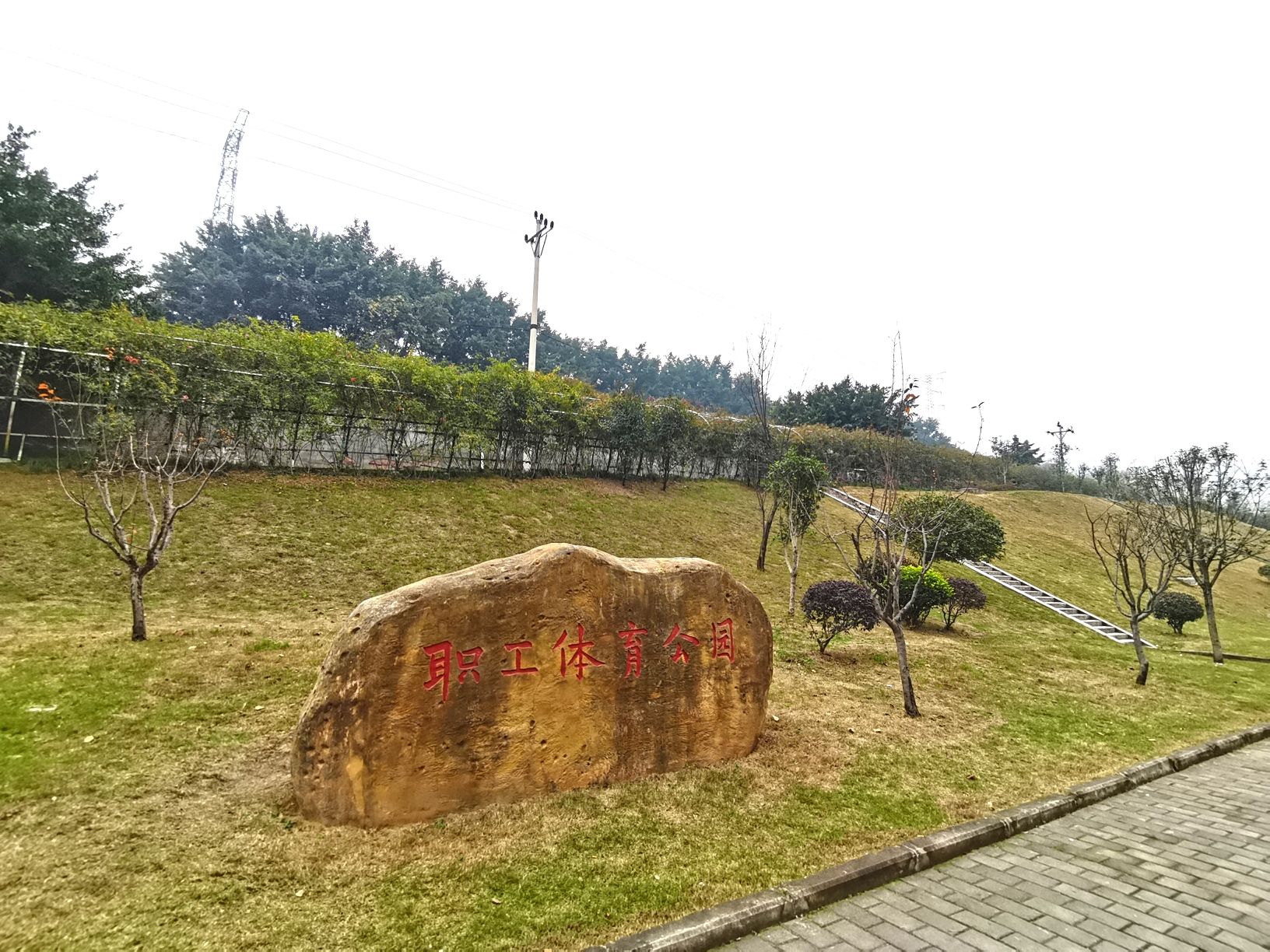 职工体育公园旅行图片 1