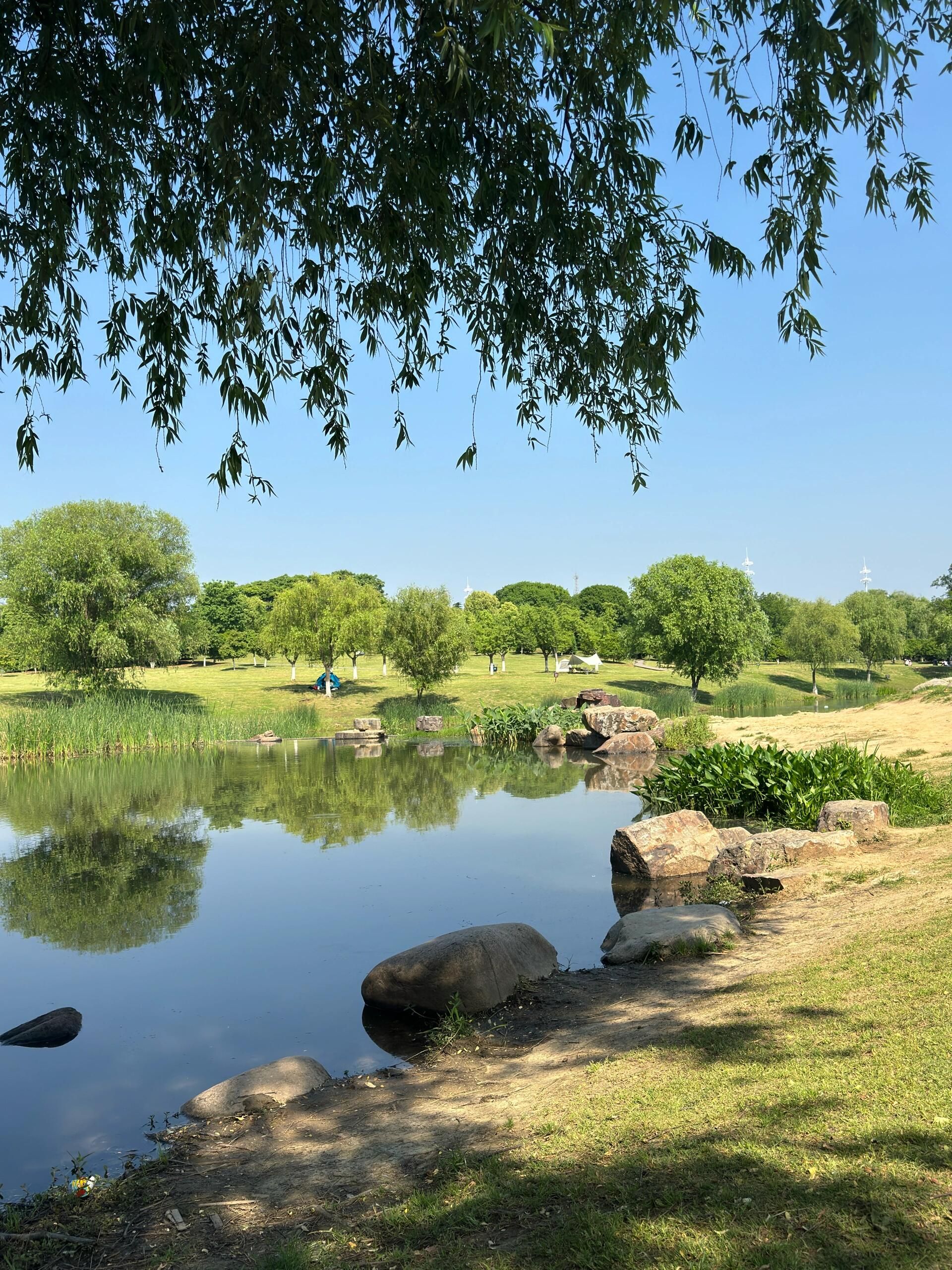 洺水公园旅行图片 2