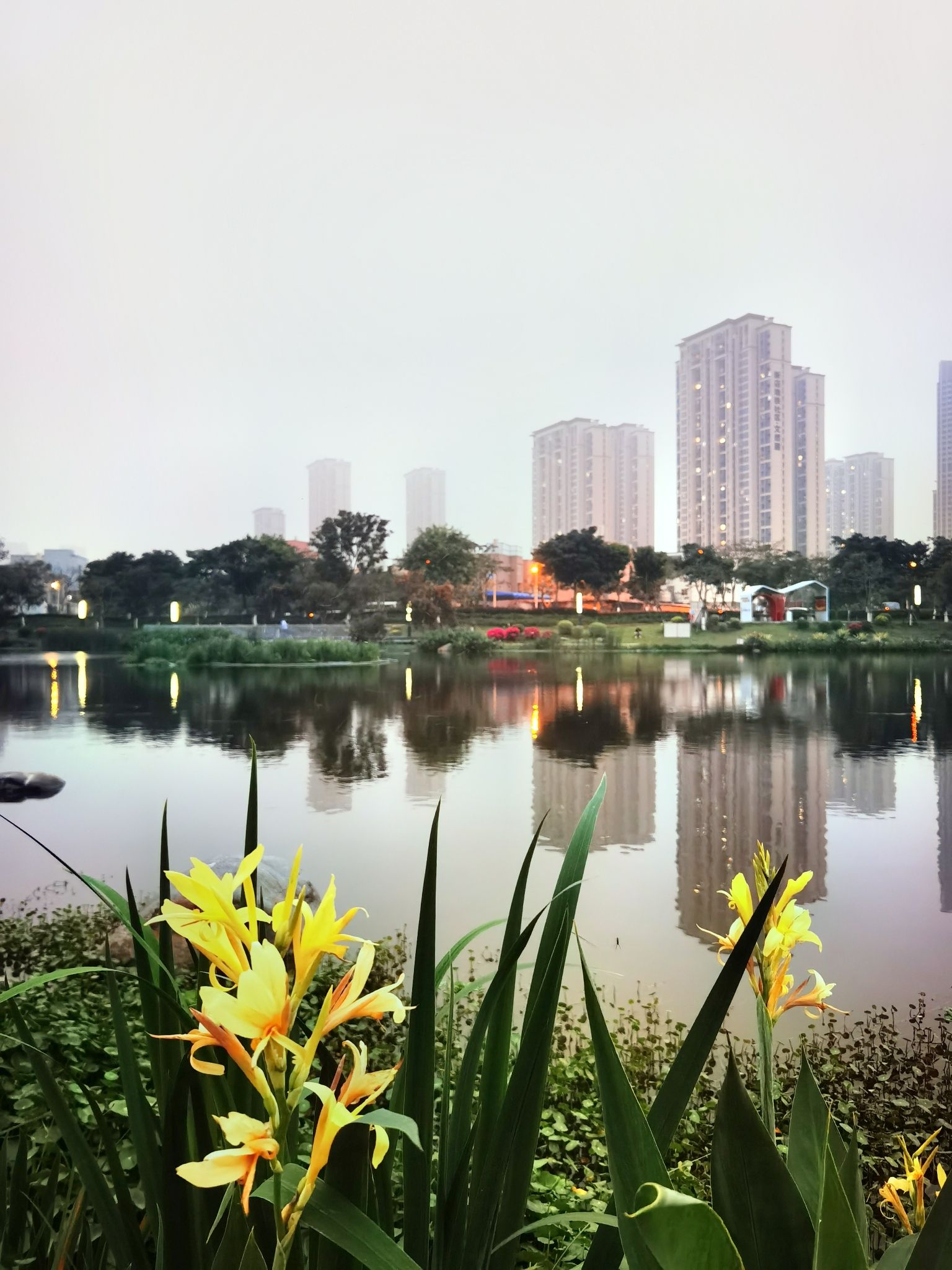 乌石盘公园旅行图片 3