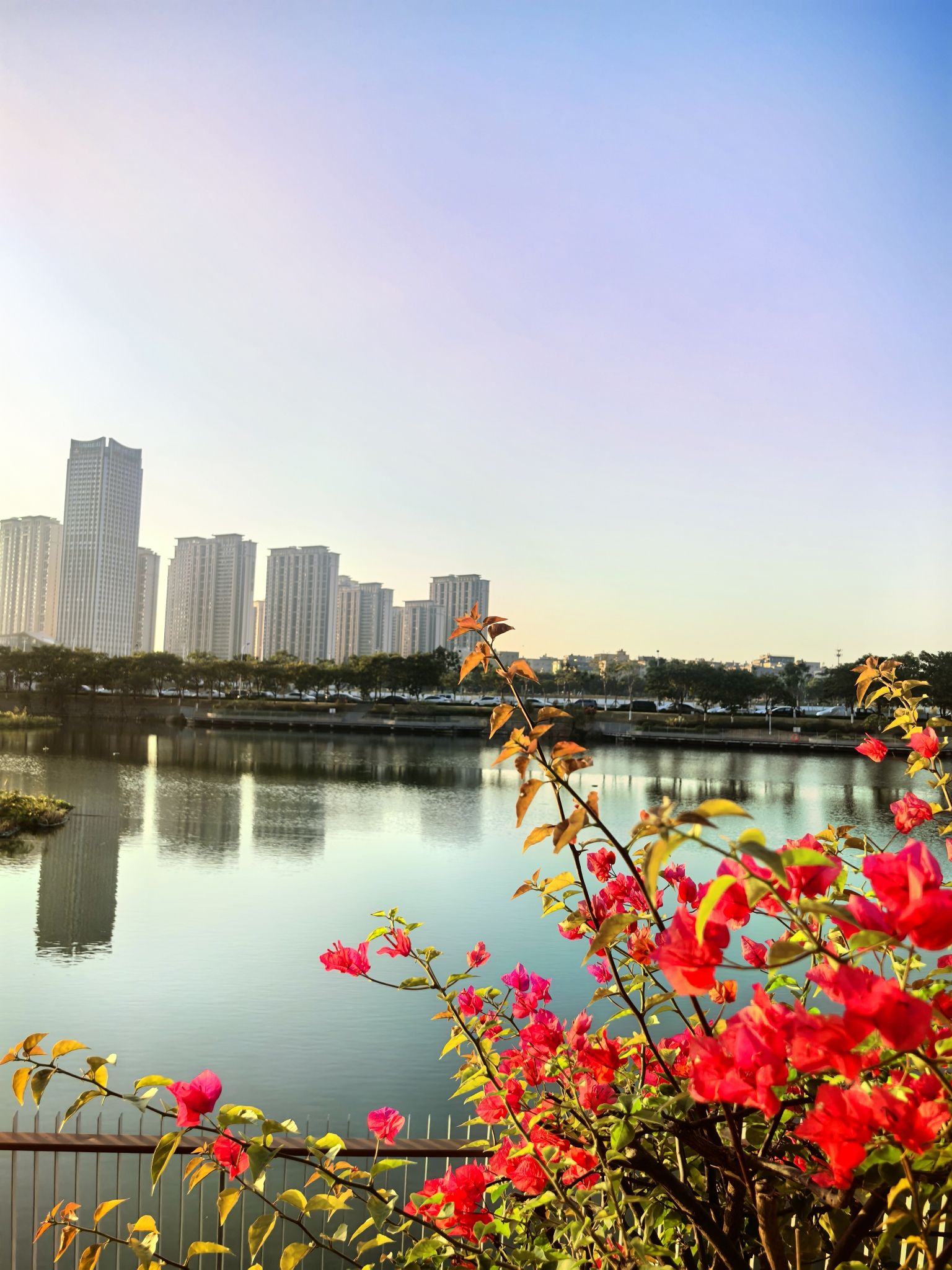 乌石盘公园旅行图片 2
