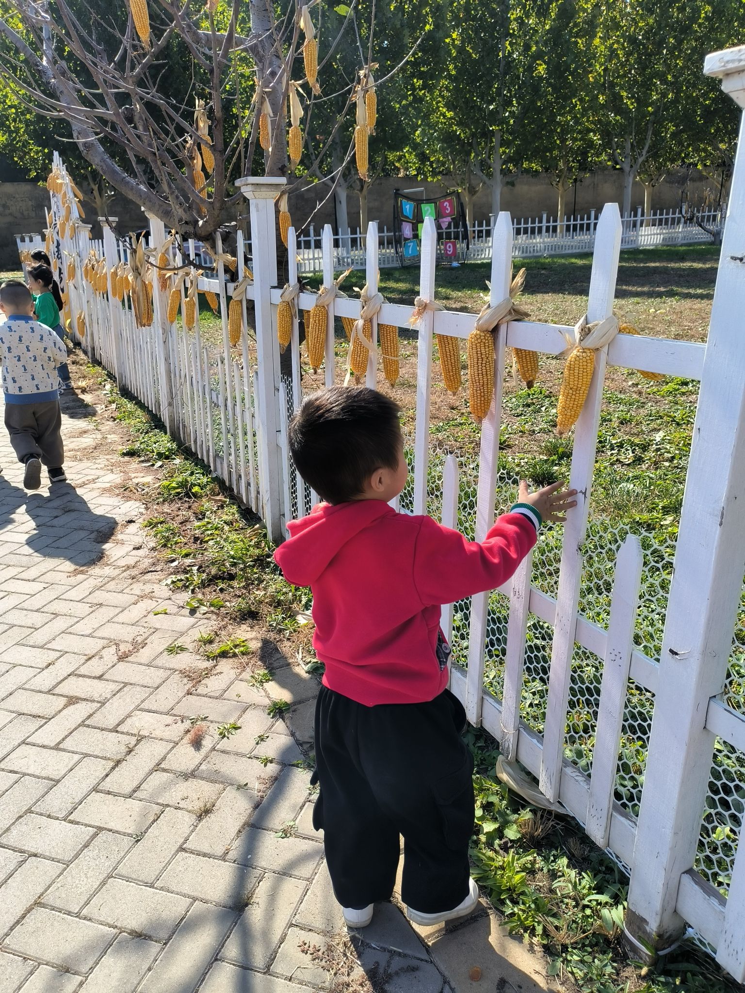 场地封面-儿童友好红色农场