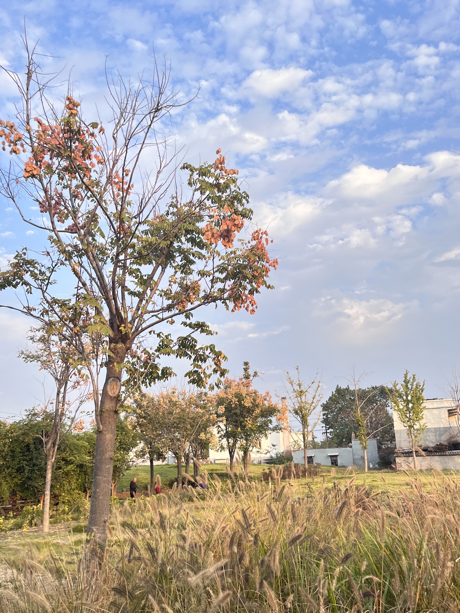东护城河公园旅行图片 2