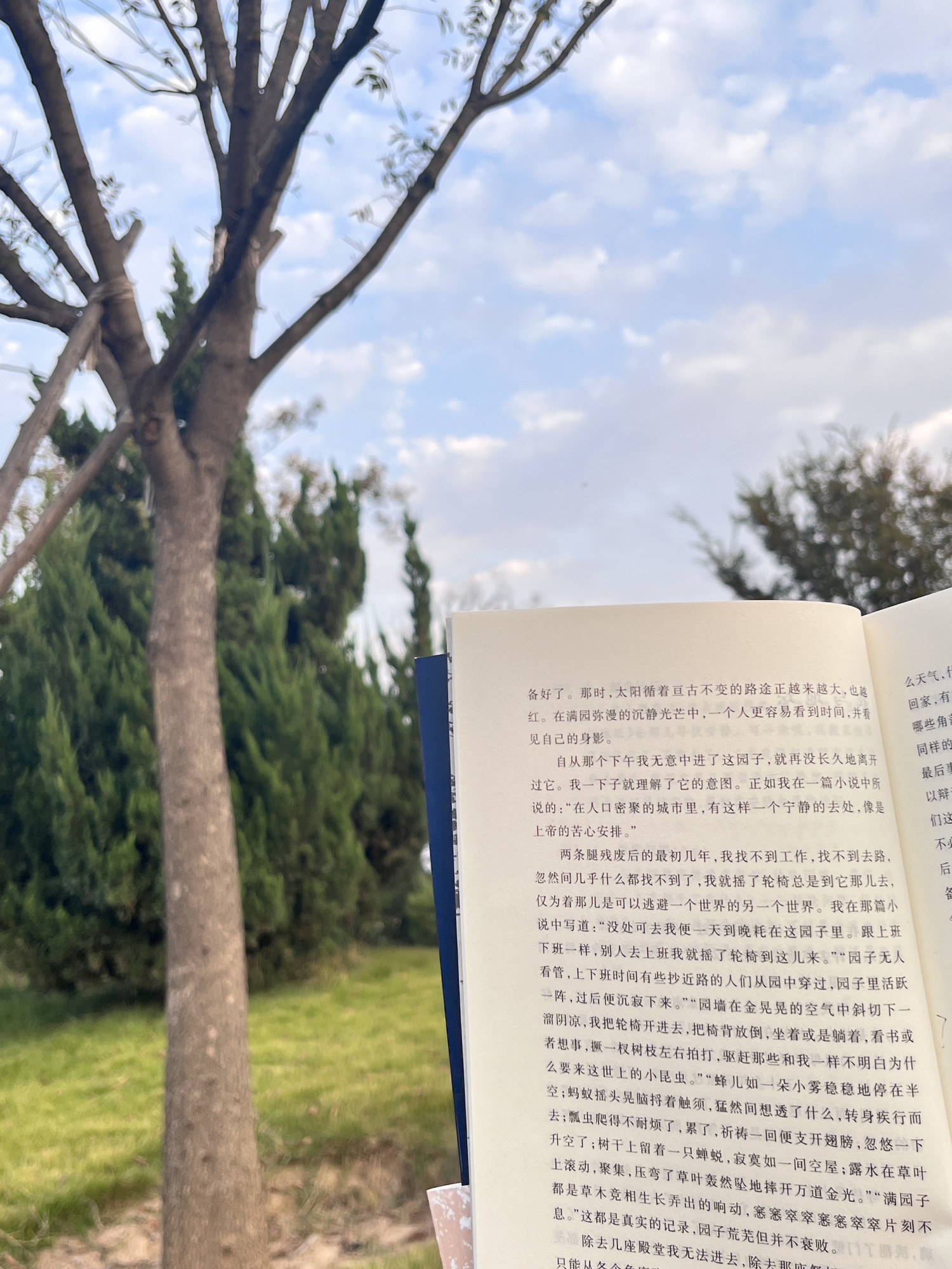 东护城河公园旅行图片 3