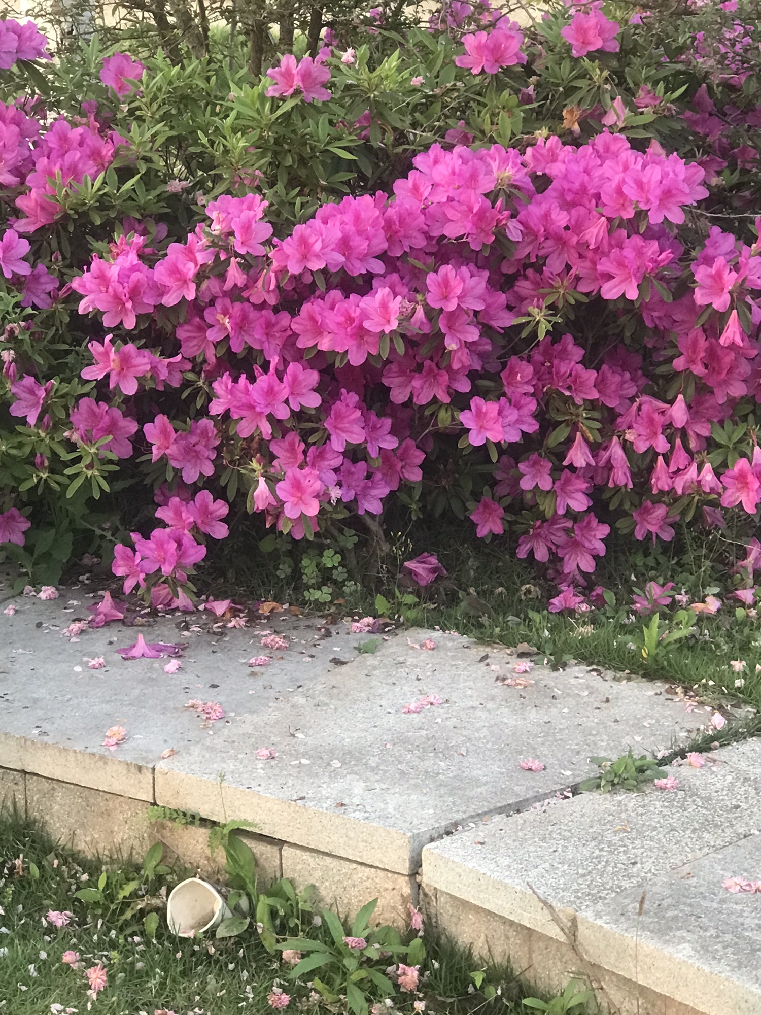宜陈河滨河公园旅行图片 3