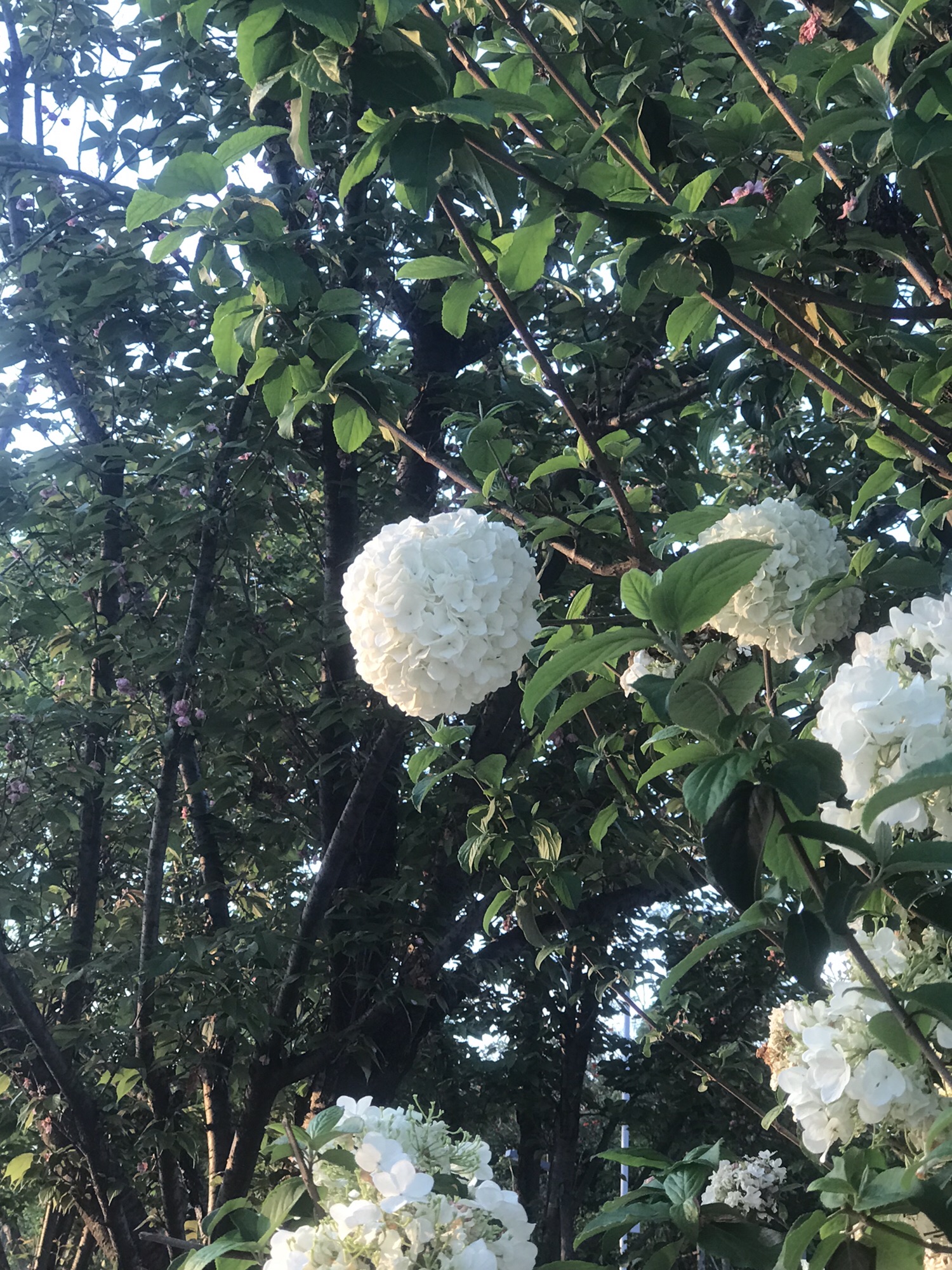 宜陈河滨河公园旅行图片 1