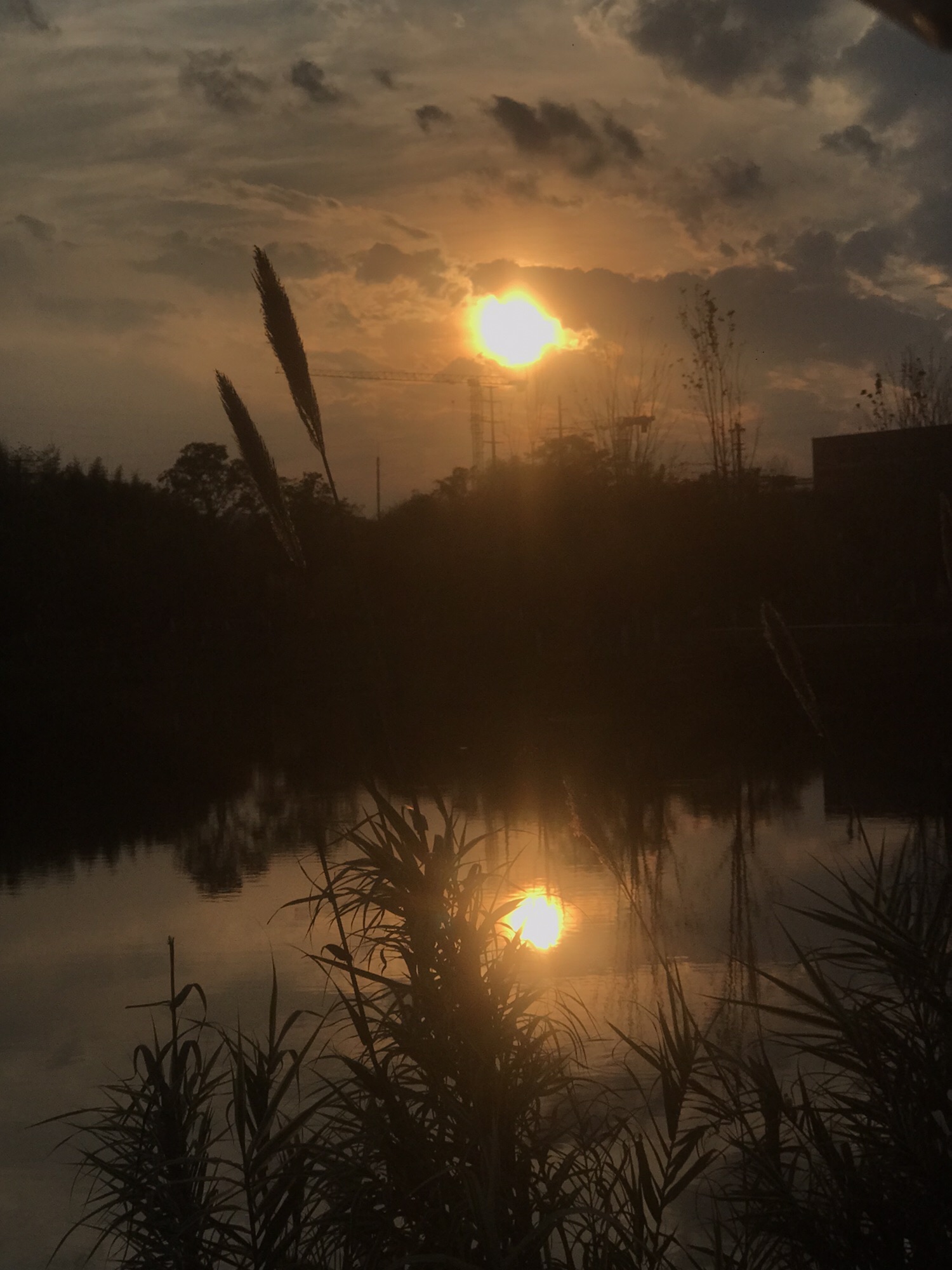 宜陈河滨河公园旅行图片 2
