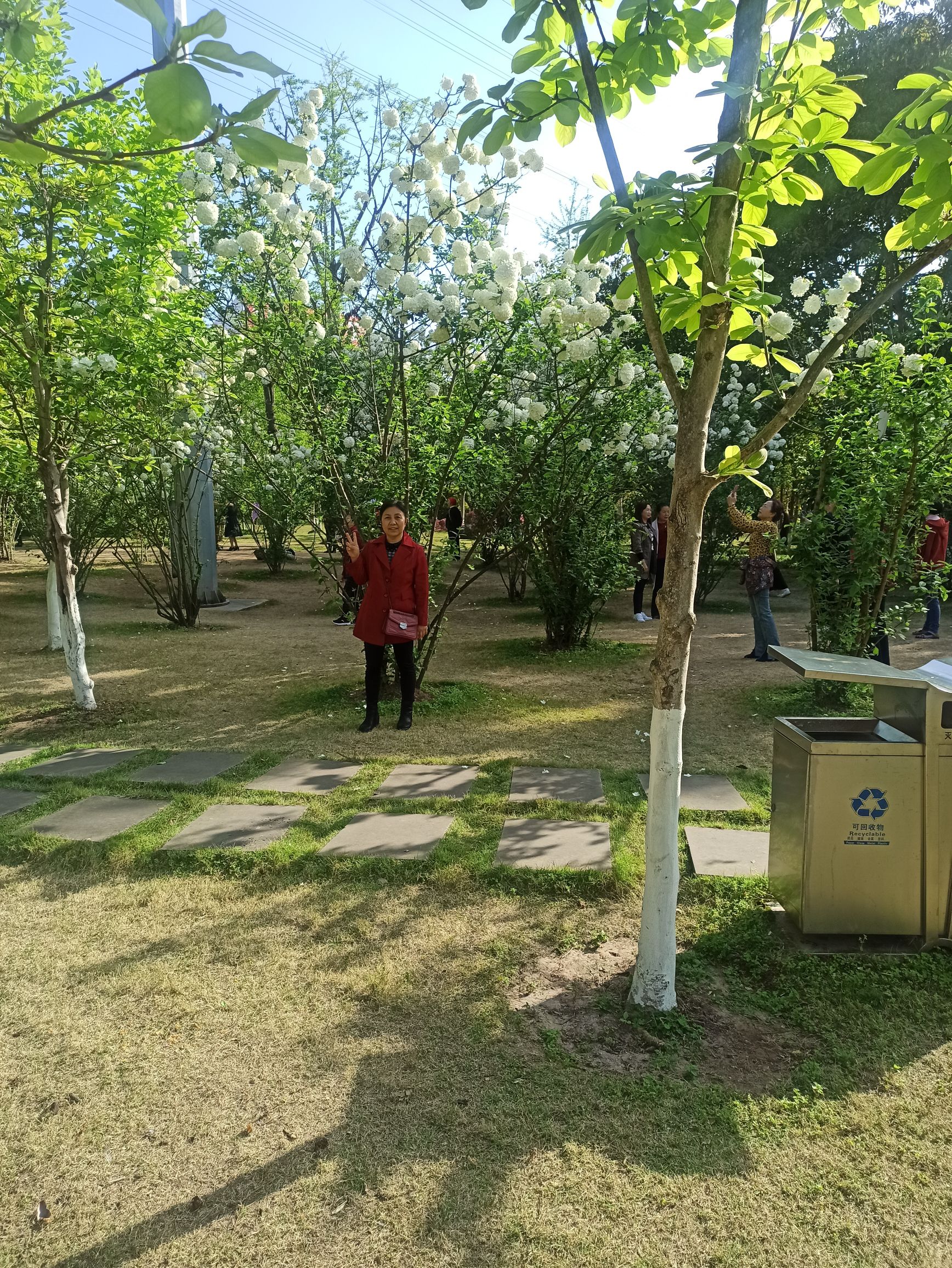 迎宾儿童公园旅行图片 3