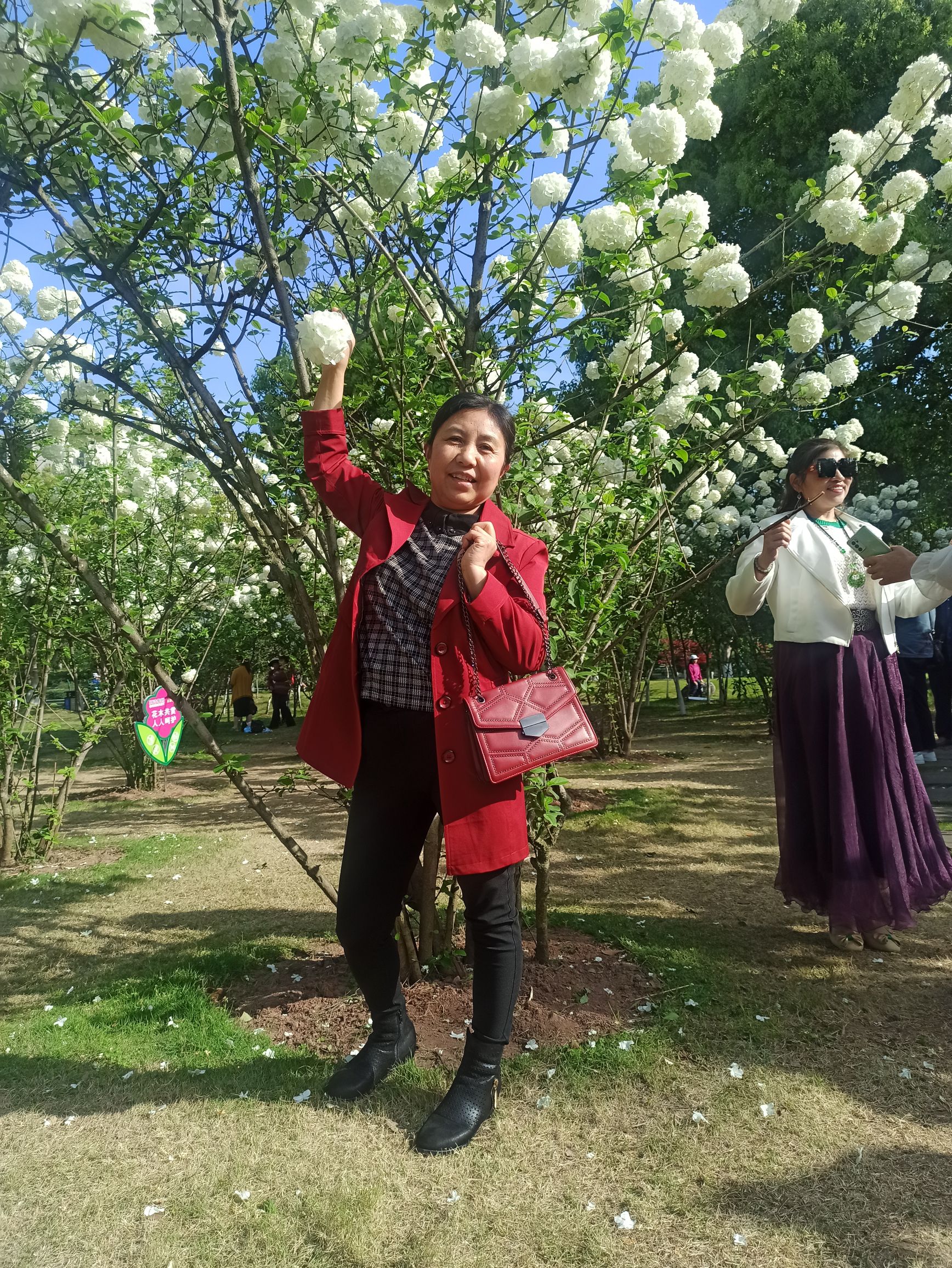 迎宾儿童公园旅行图片 2