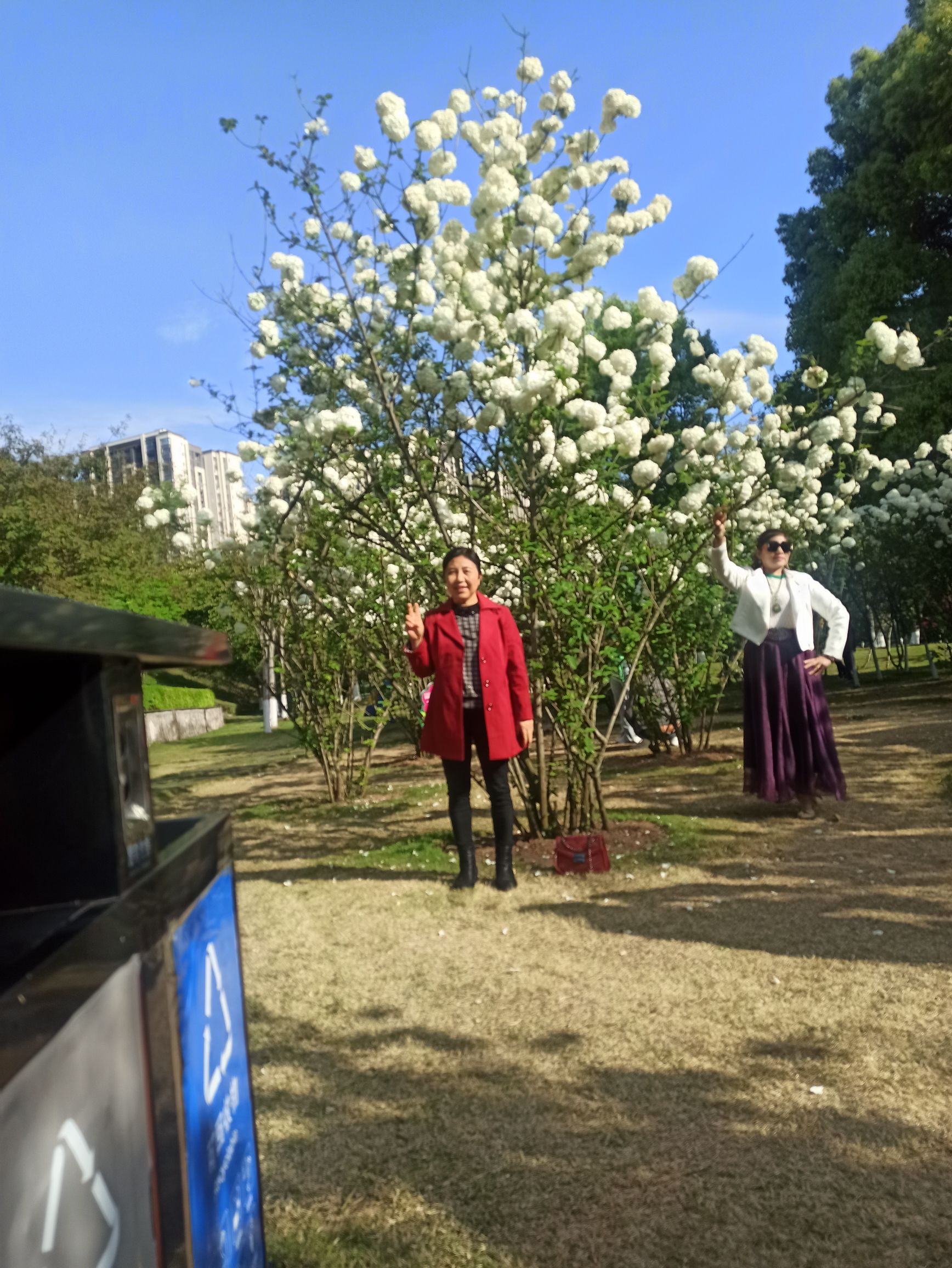 迎宾儿童公园旅行图片 1
