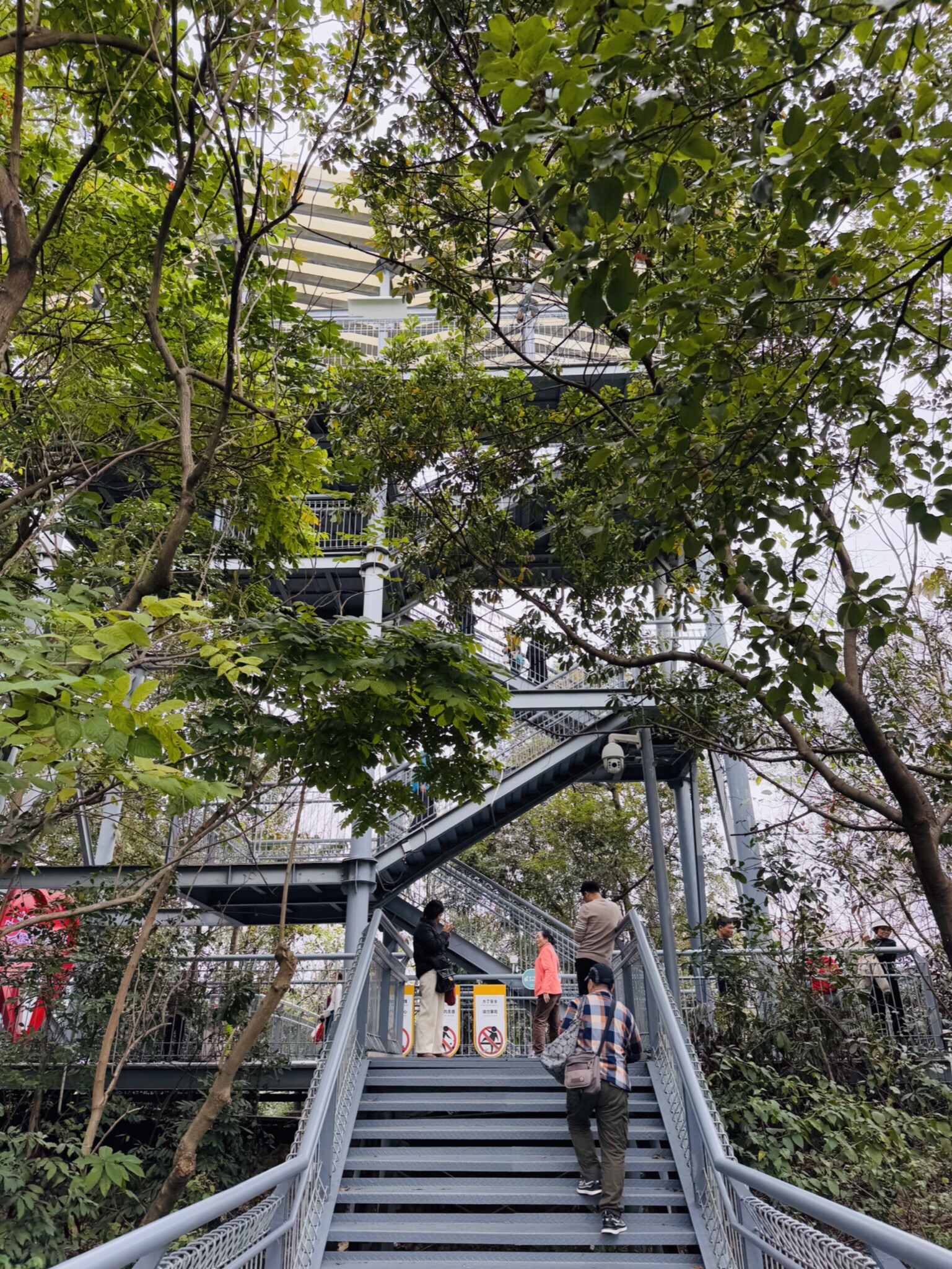 华盖山栈道旅行图片 3
