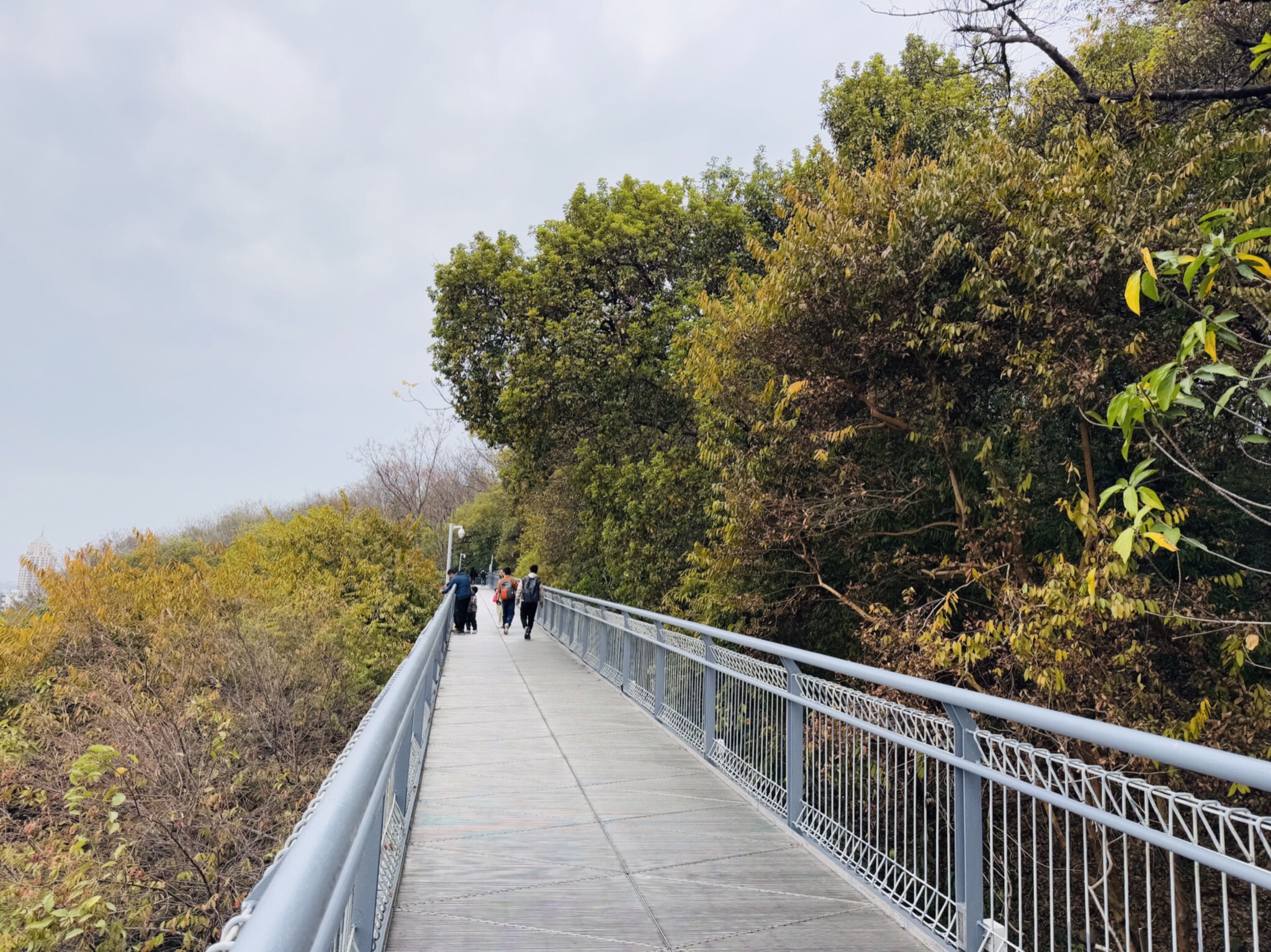 华盖山栈道旅行图片 2