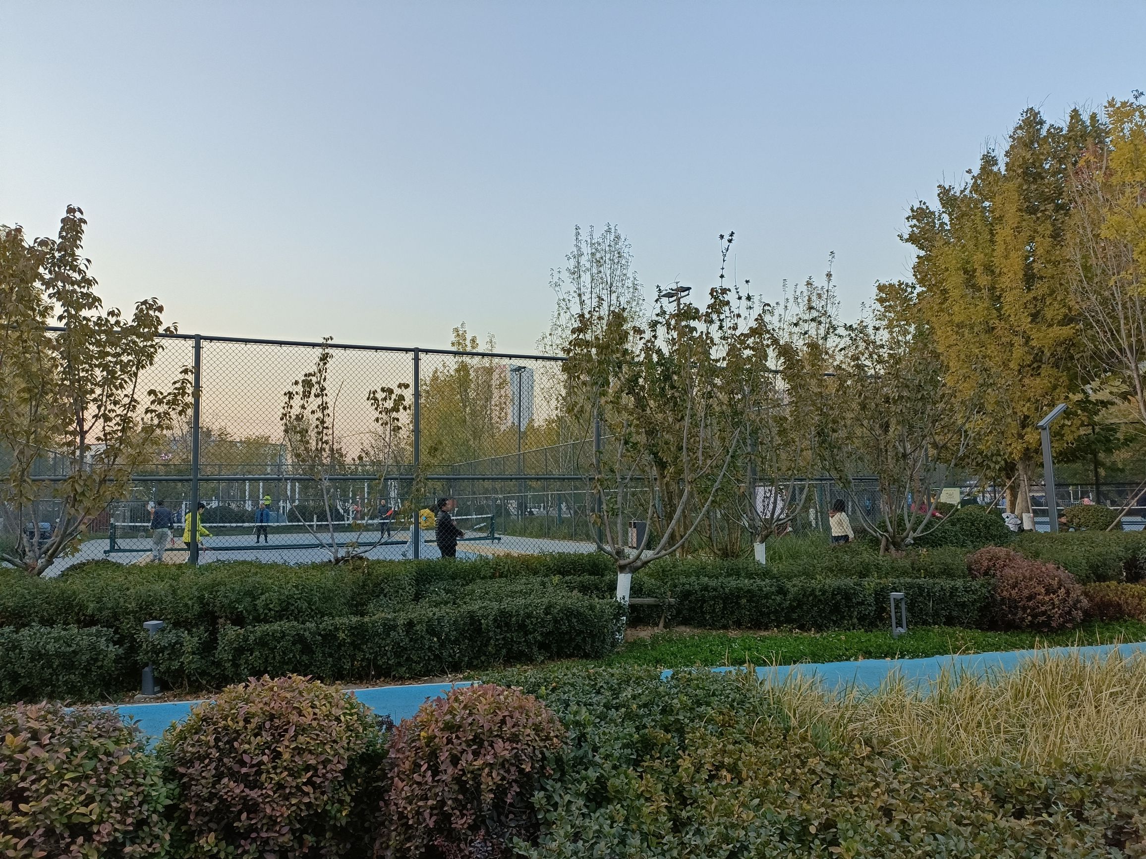 拾光智慧体育公园旅行图片 2