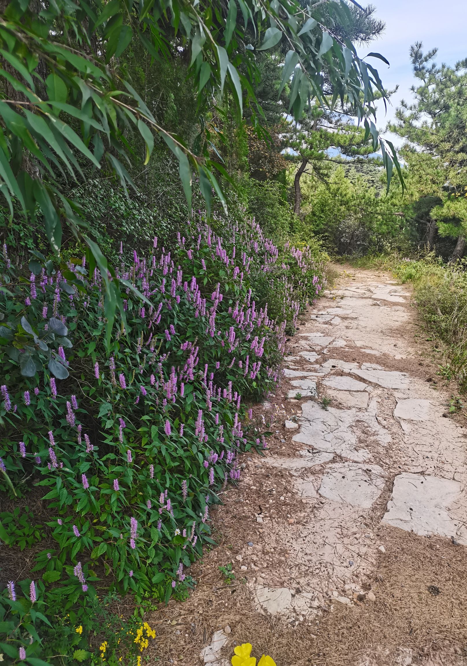 寒山风景区旅行图片 3